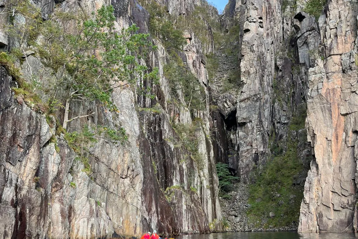 media_99N4HH6P2585ZLEJ