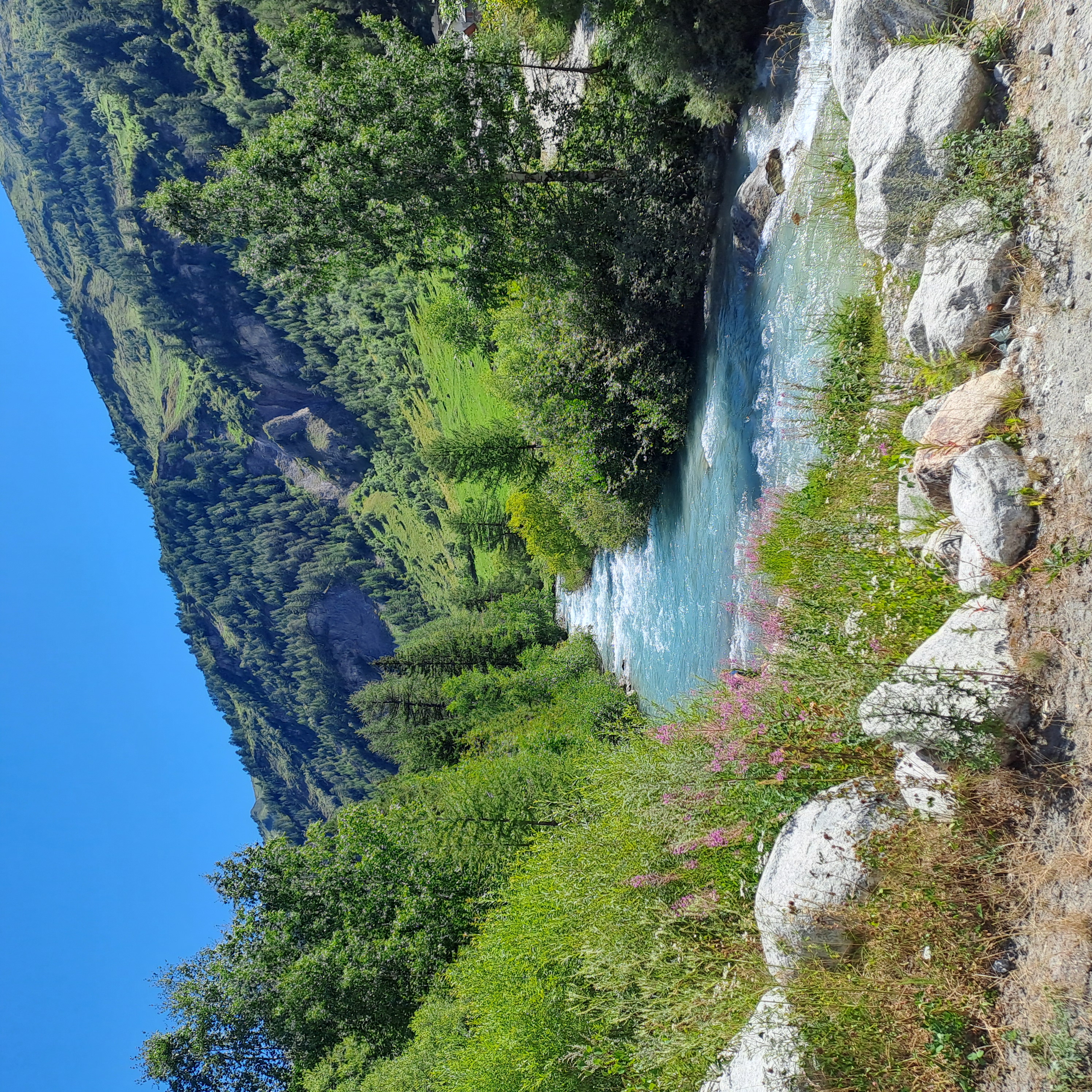 media_FV8PPS8QQ4ML2H9D