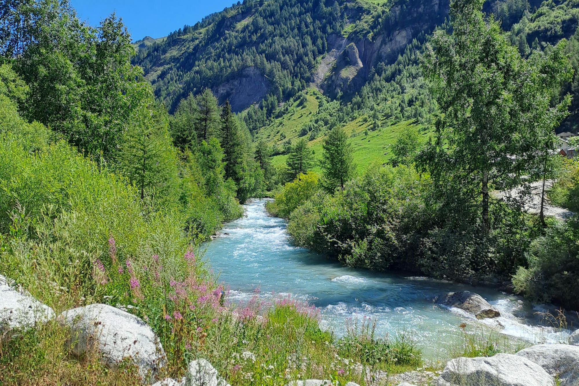 media_FV8PPS8QQ4ML2H9D