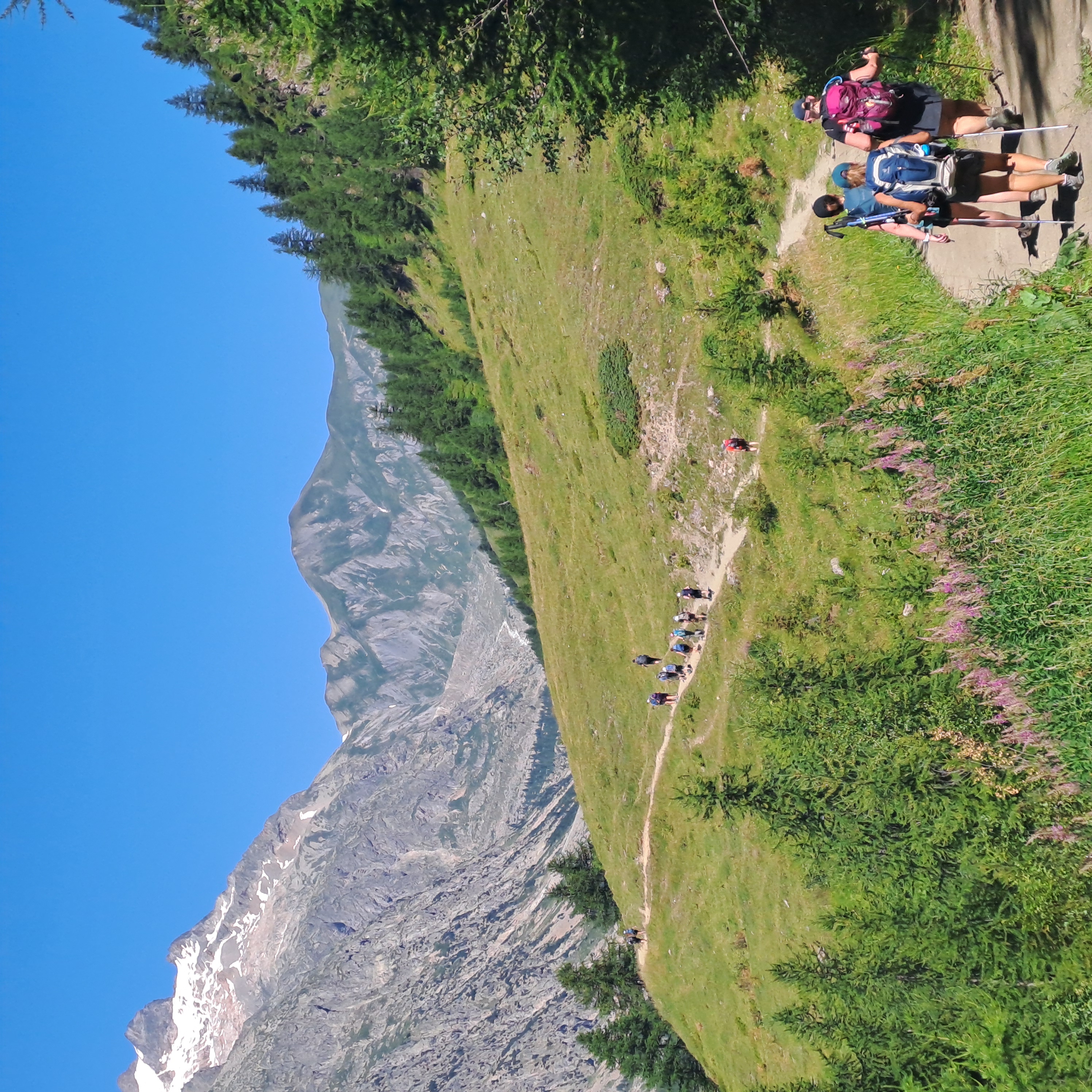 media_NJX8LJBUQZWHLGMN