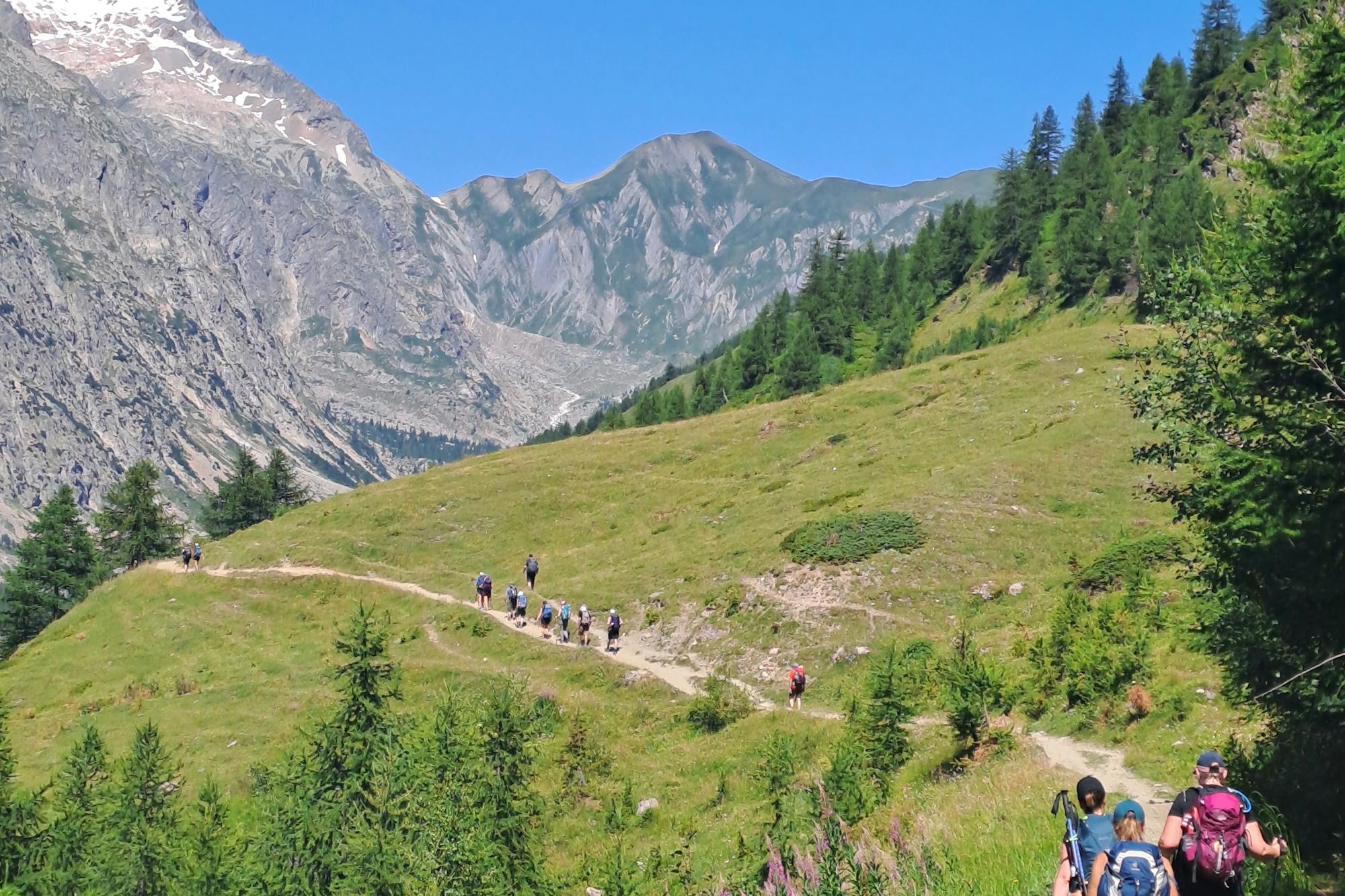 media_NJX8LJBUQZWHLGMN