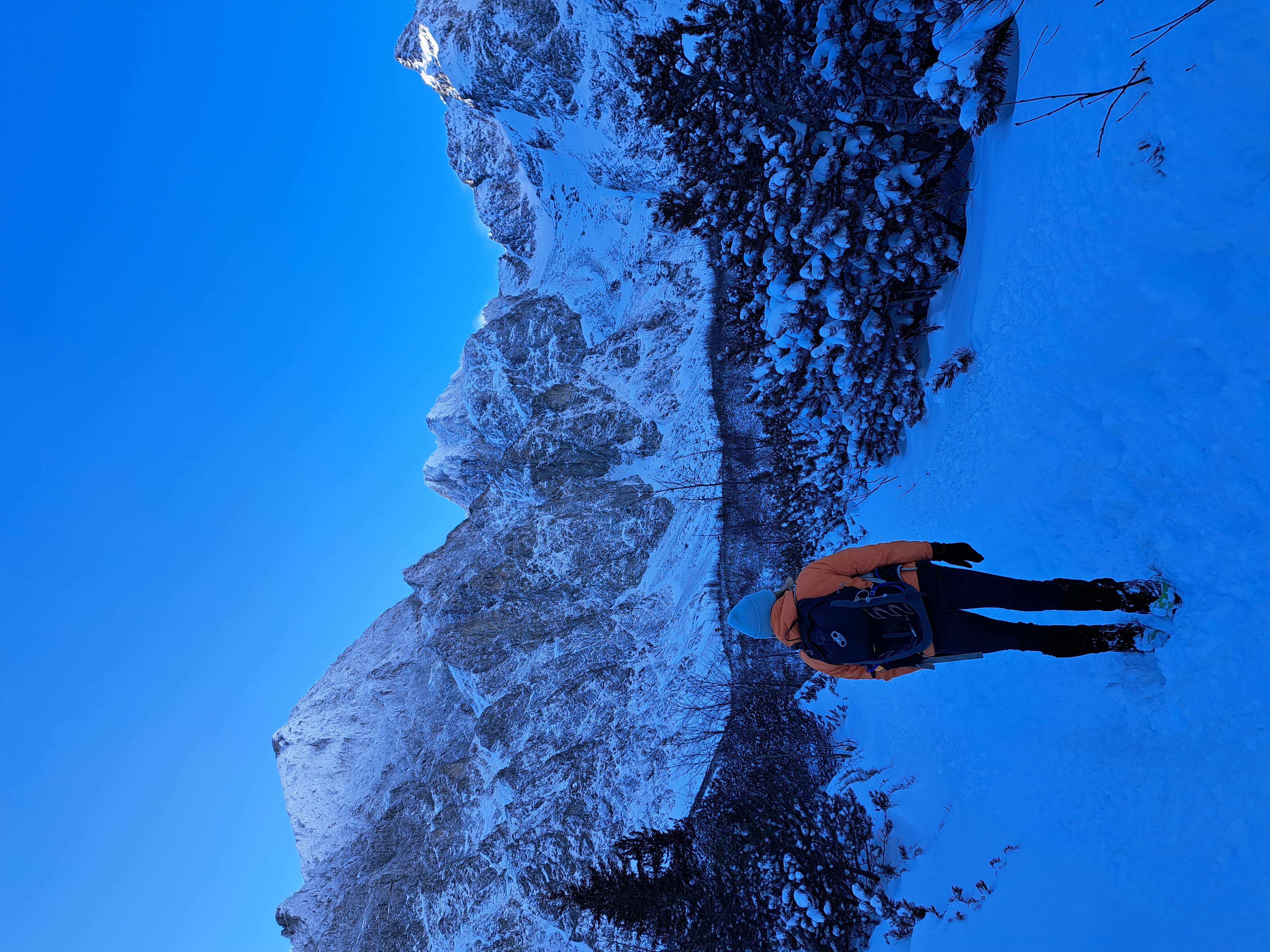 media_2CVAMV2D7XX7A73Y