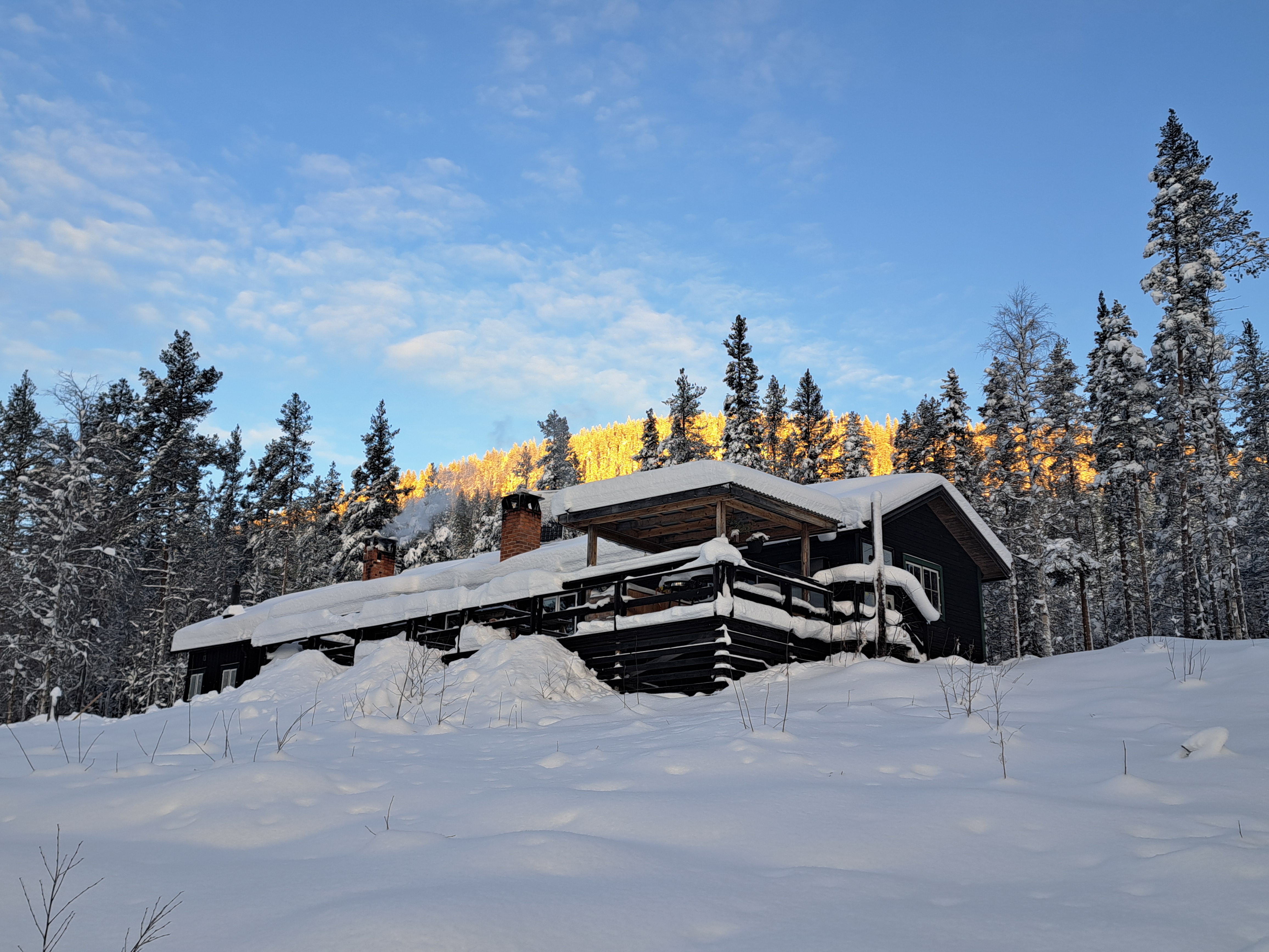 media_2LA54YV2TL8J8LLU