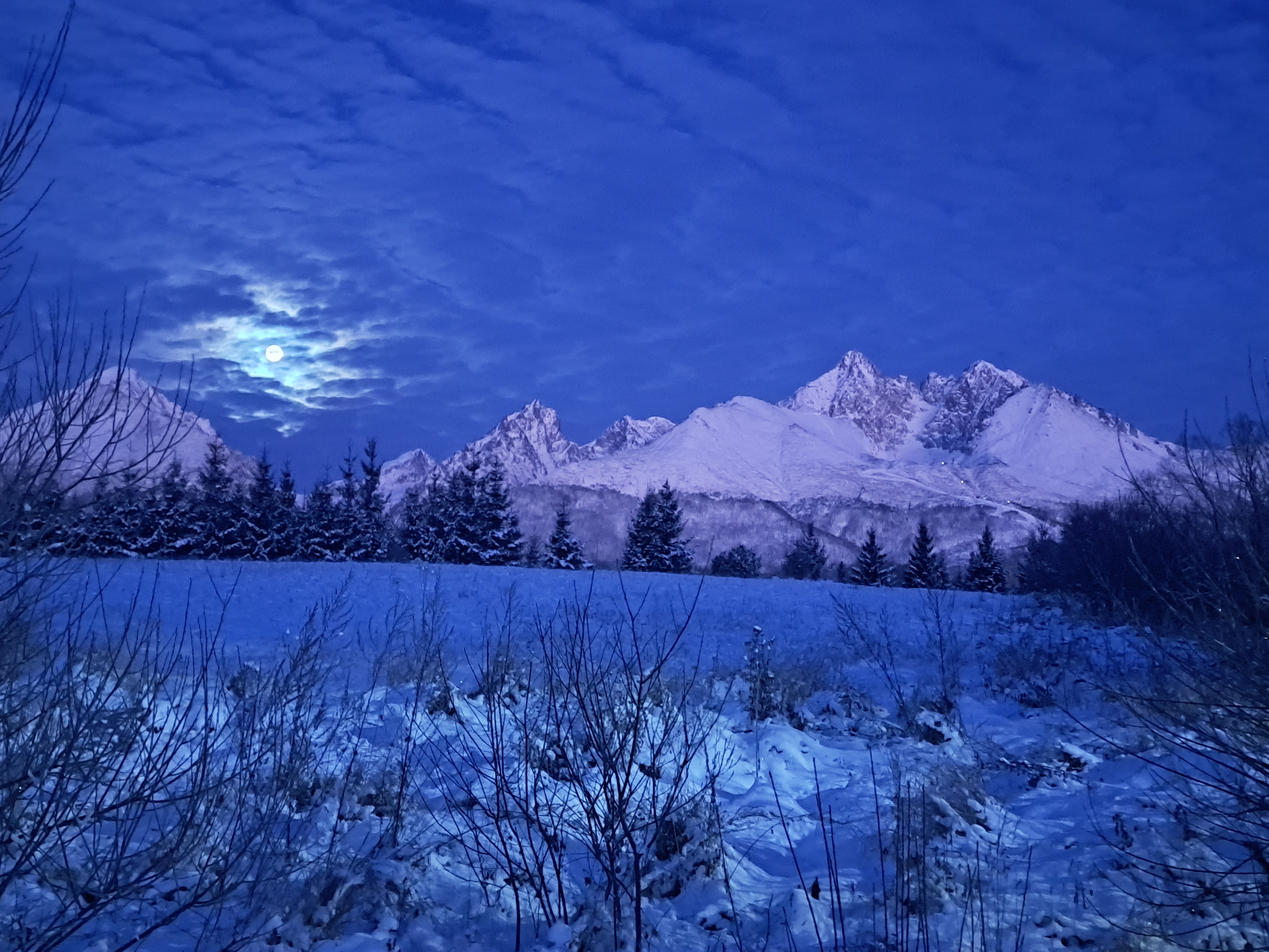 media_6G853NT3EHYV5TTW