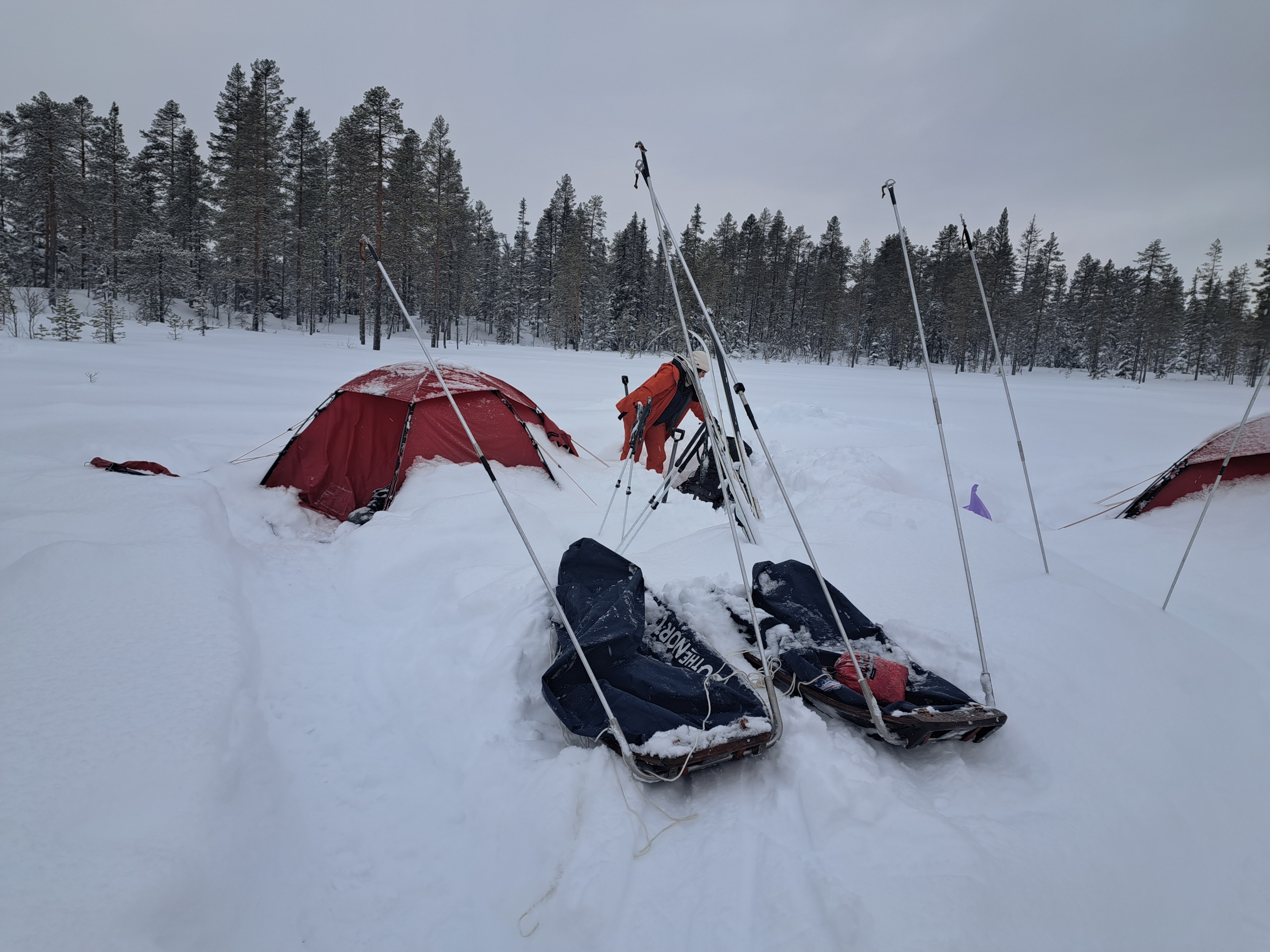 media_98Z626FZGYV337YH