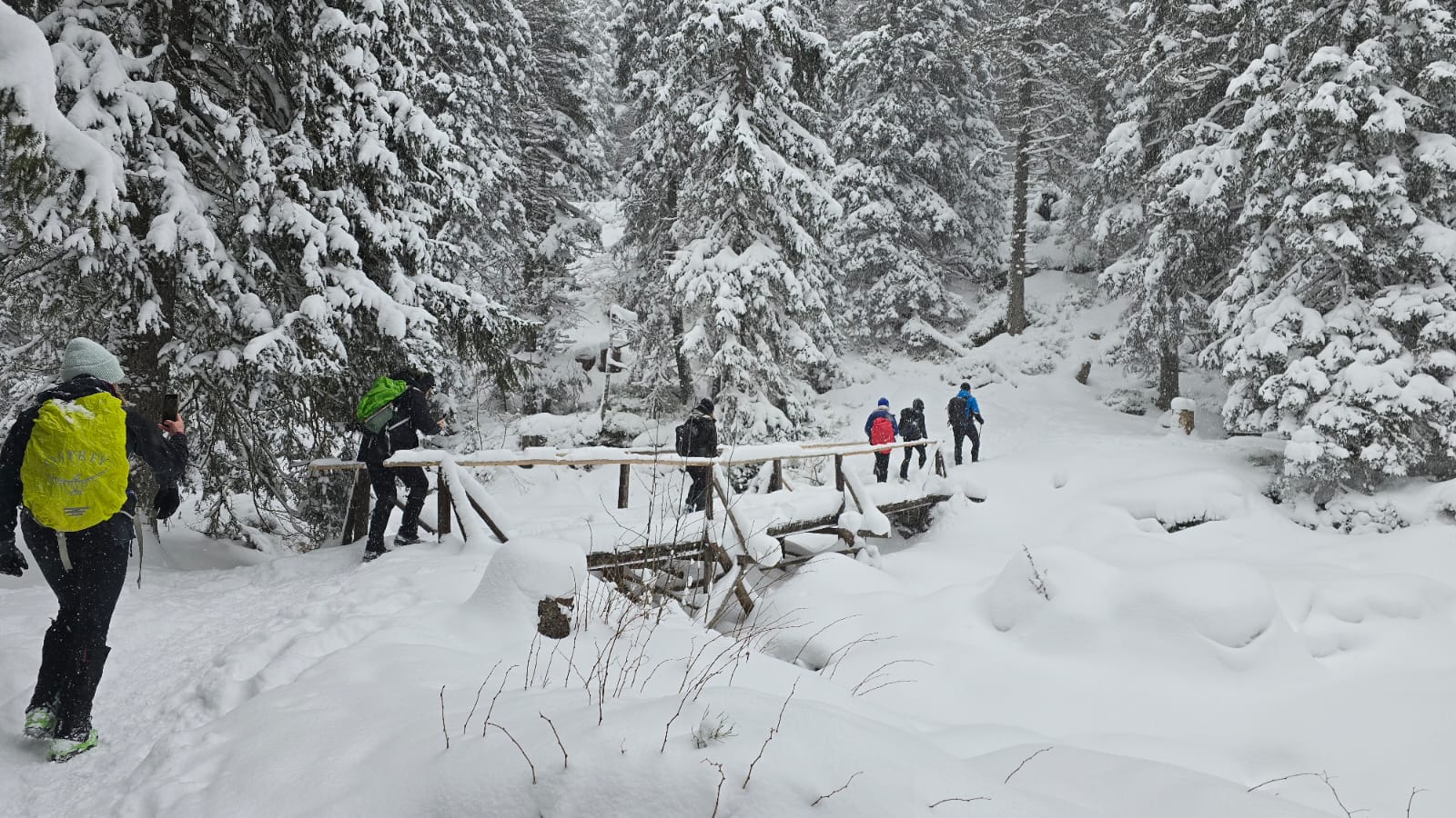 media_QRGS9UE8LJC3PKYD