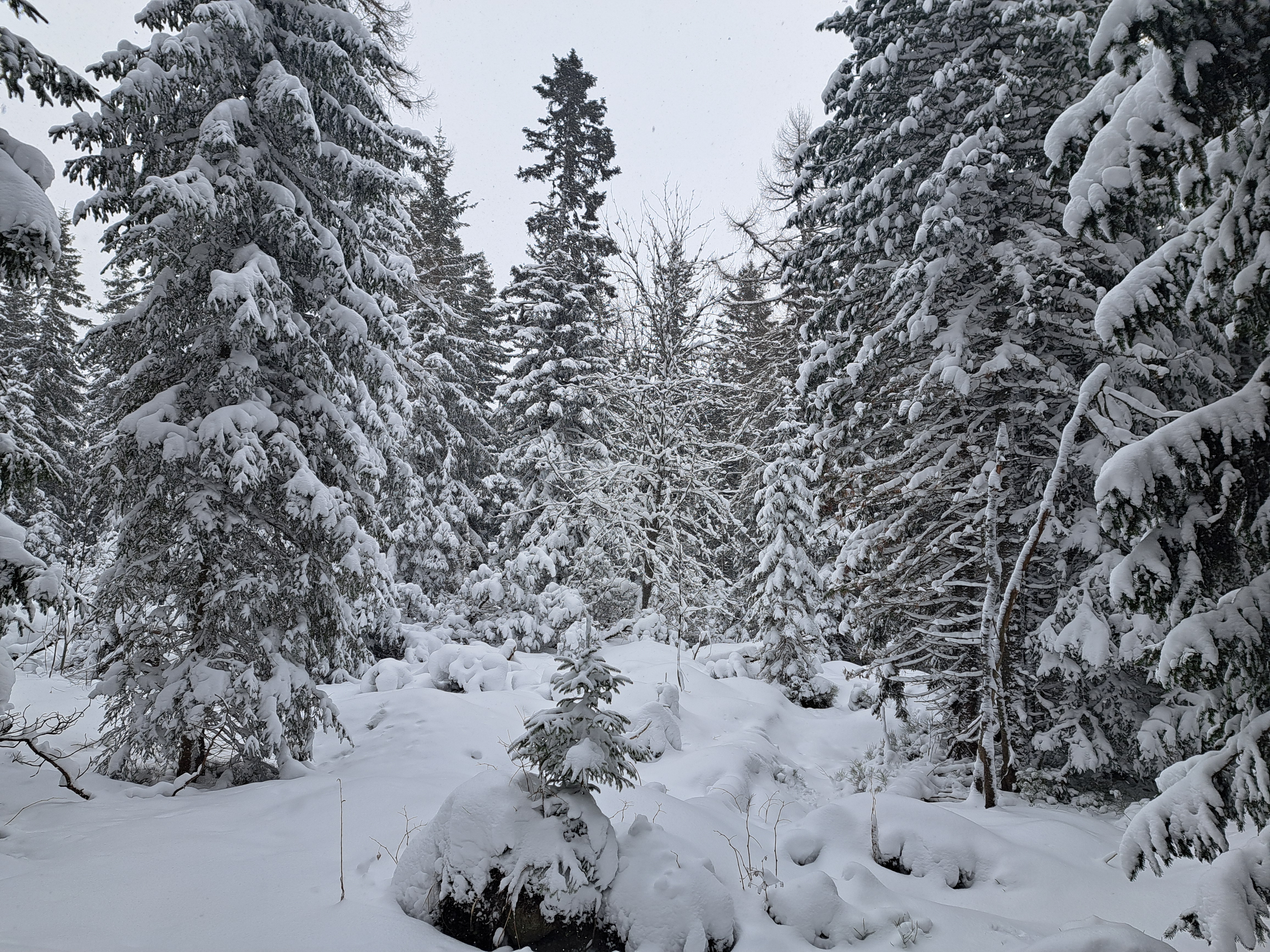 media_VPLCP45CXPTXHN6K