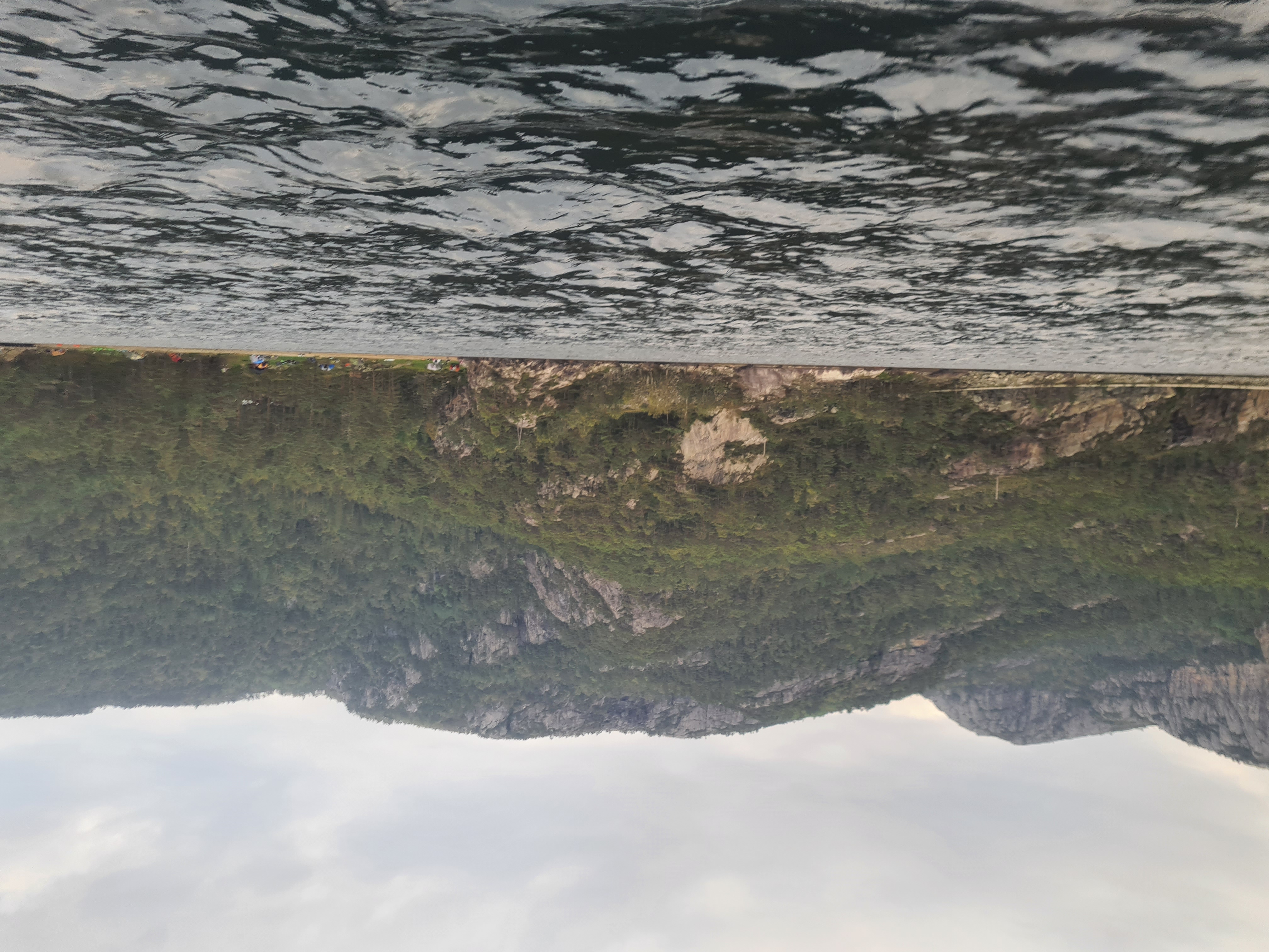 media_4MHUPHK9QLCY8TUL