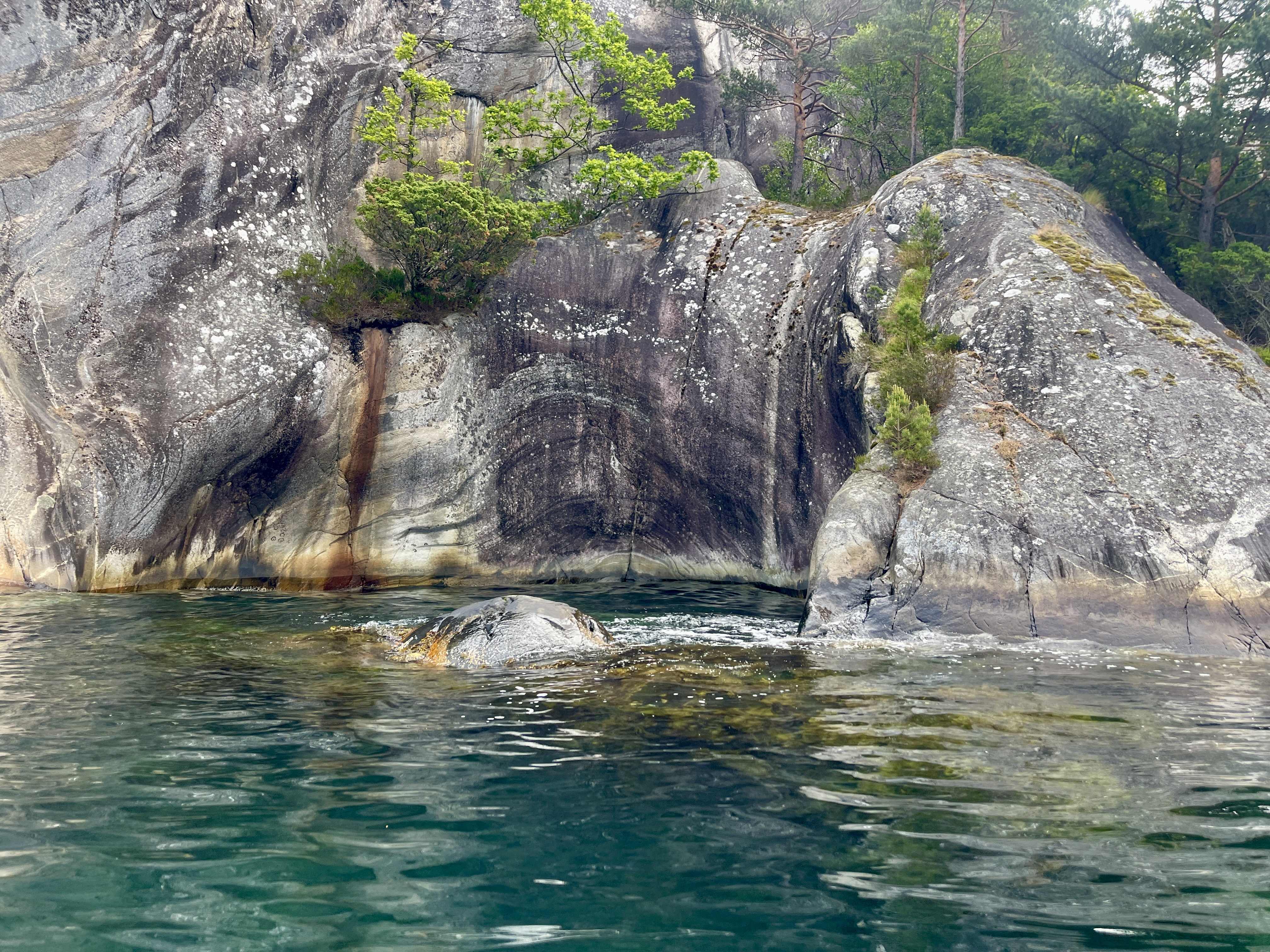 media_ELNE4BWR3Z3E9FF6