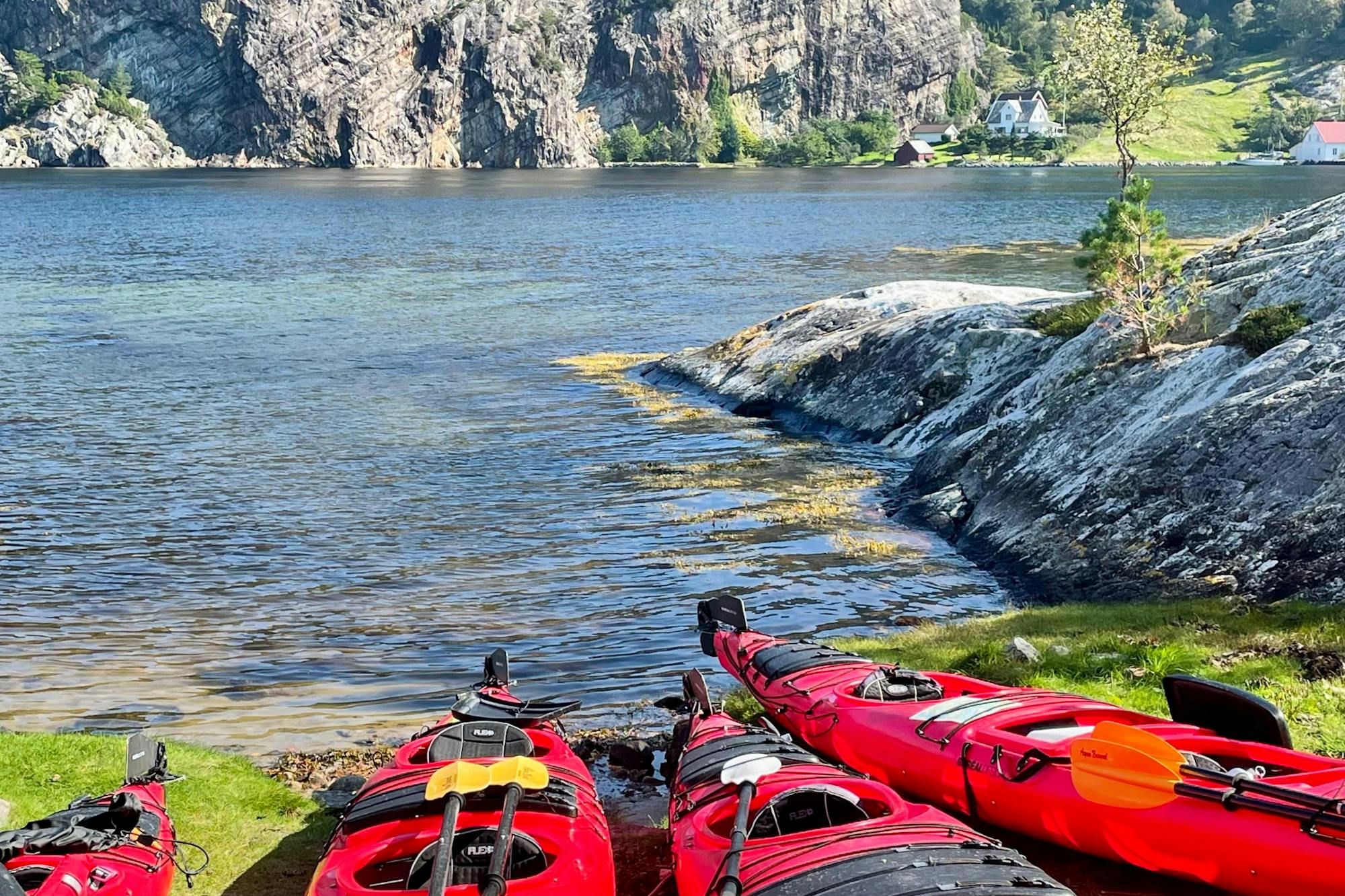 media_JAUP3KMD3Y6GK72D