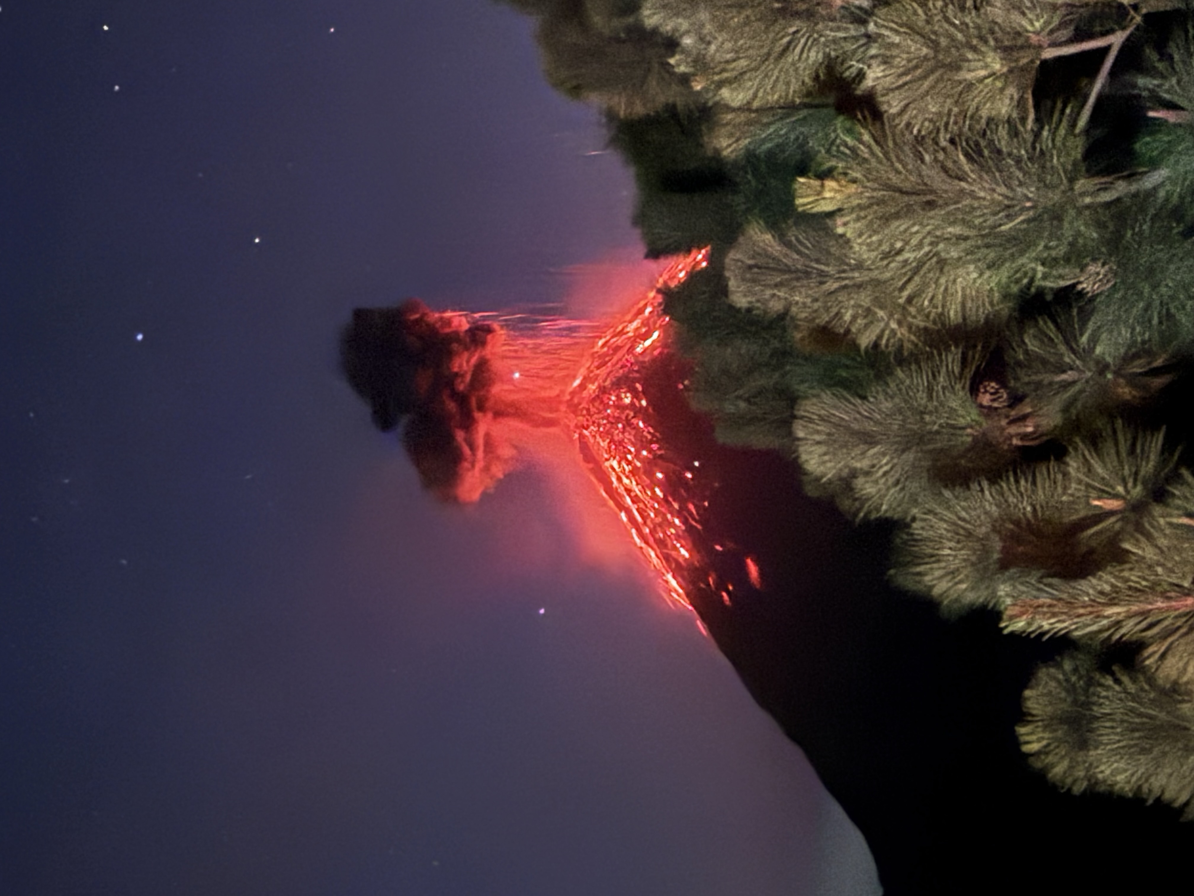 media_MH9ZM8JTCQLGTAYS