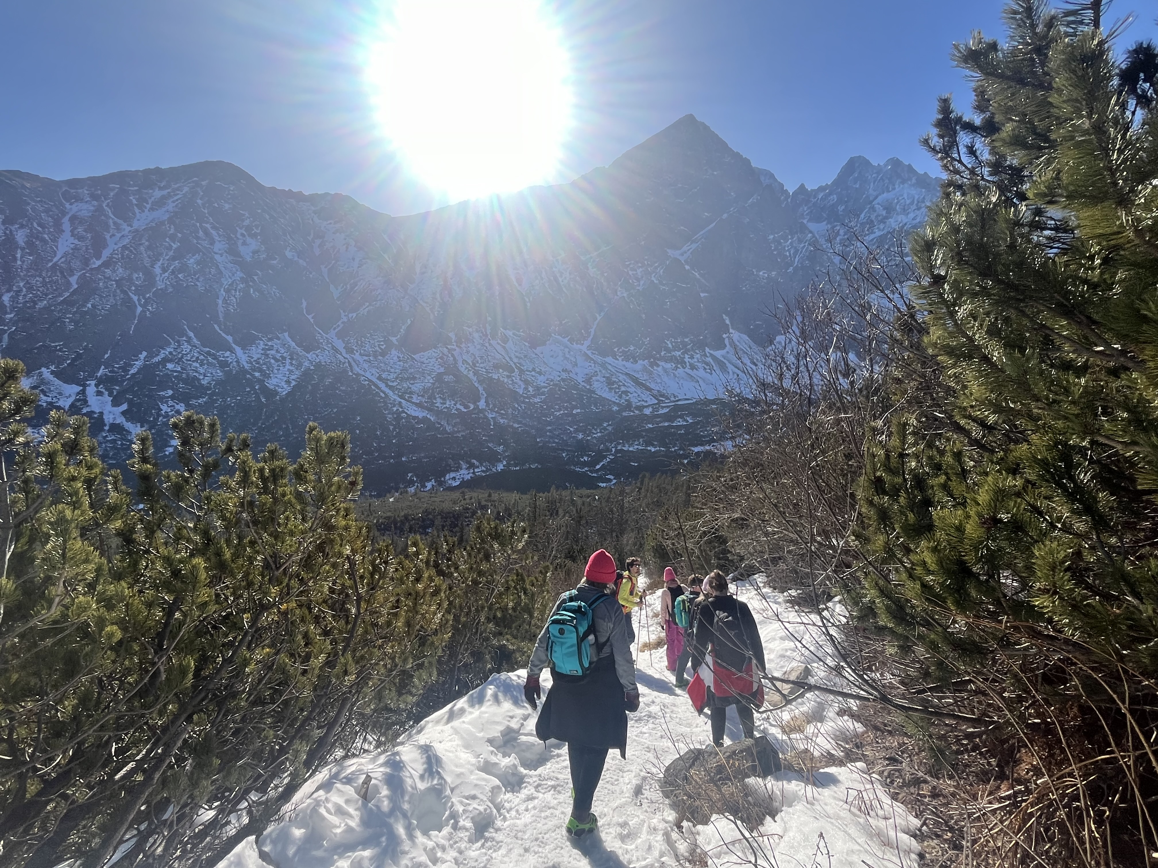 media_RTJ47X6UDZ25F44R