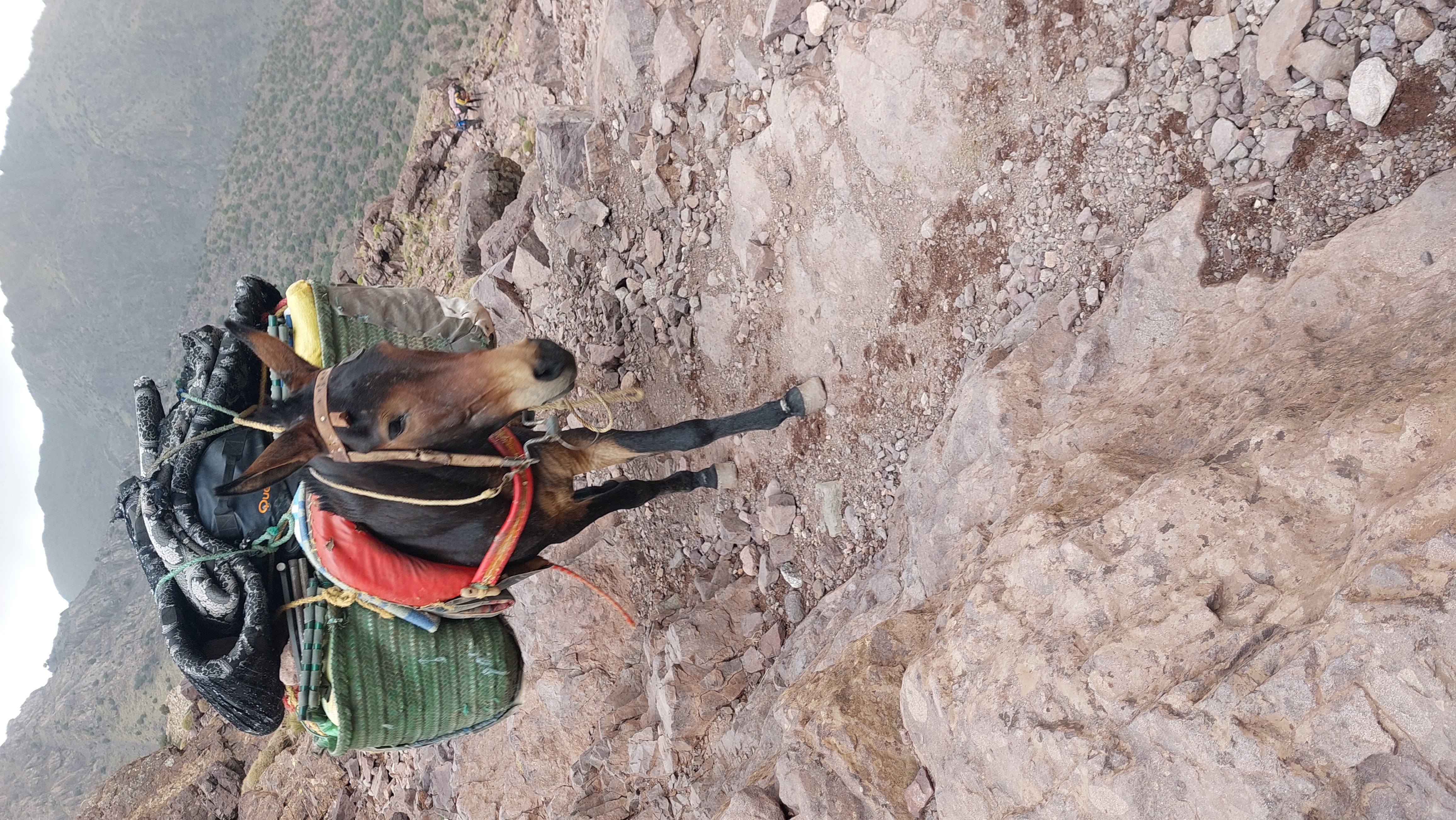 media_HW8ANCBRHVS4YT2L