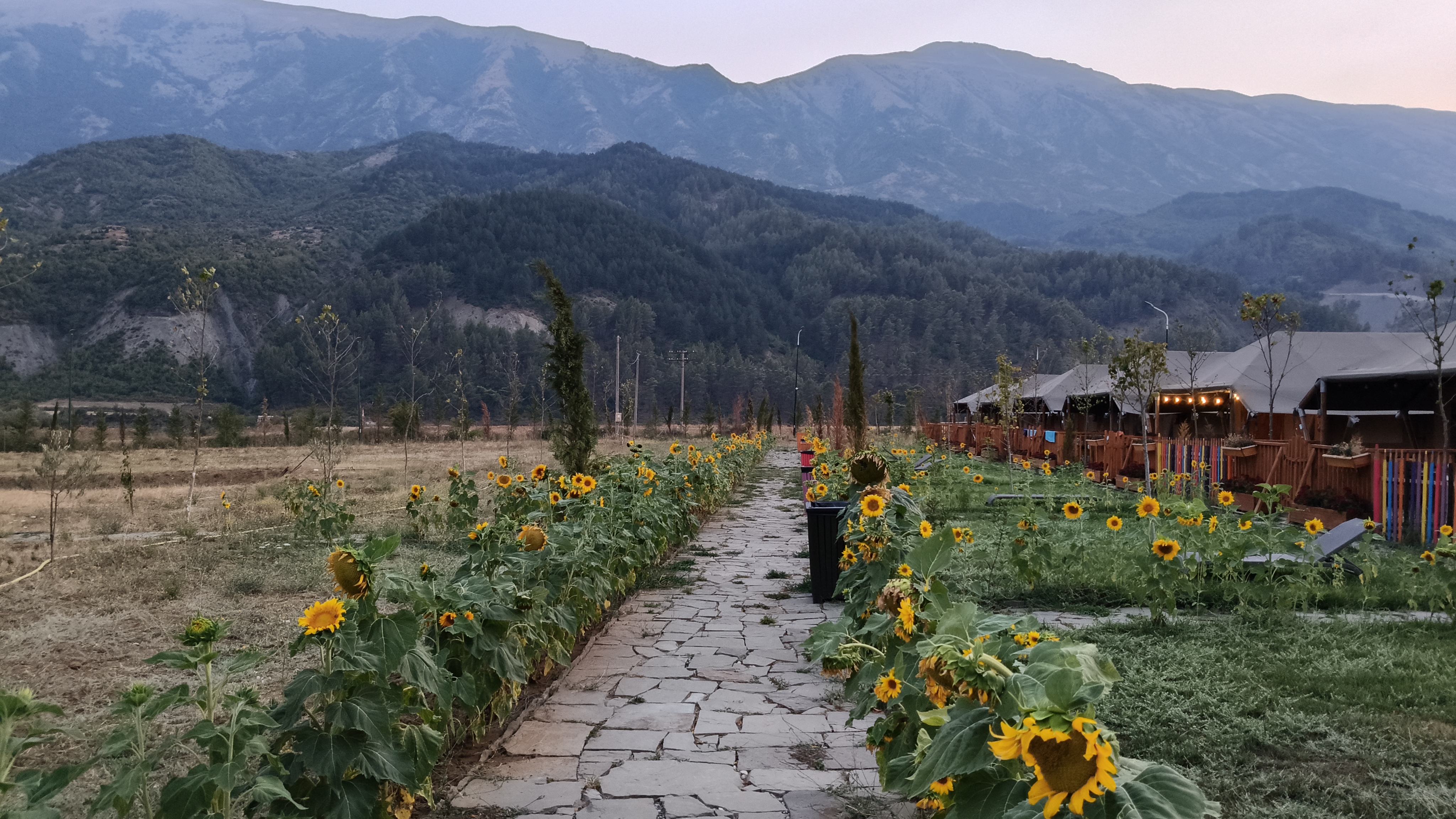 media_KN4G7MTC3F46R5RC