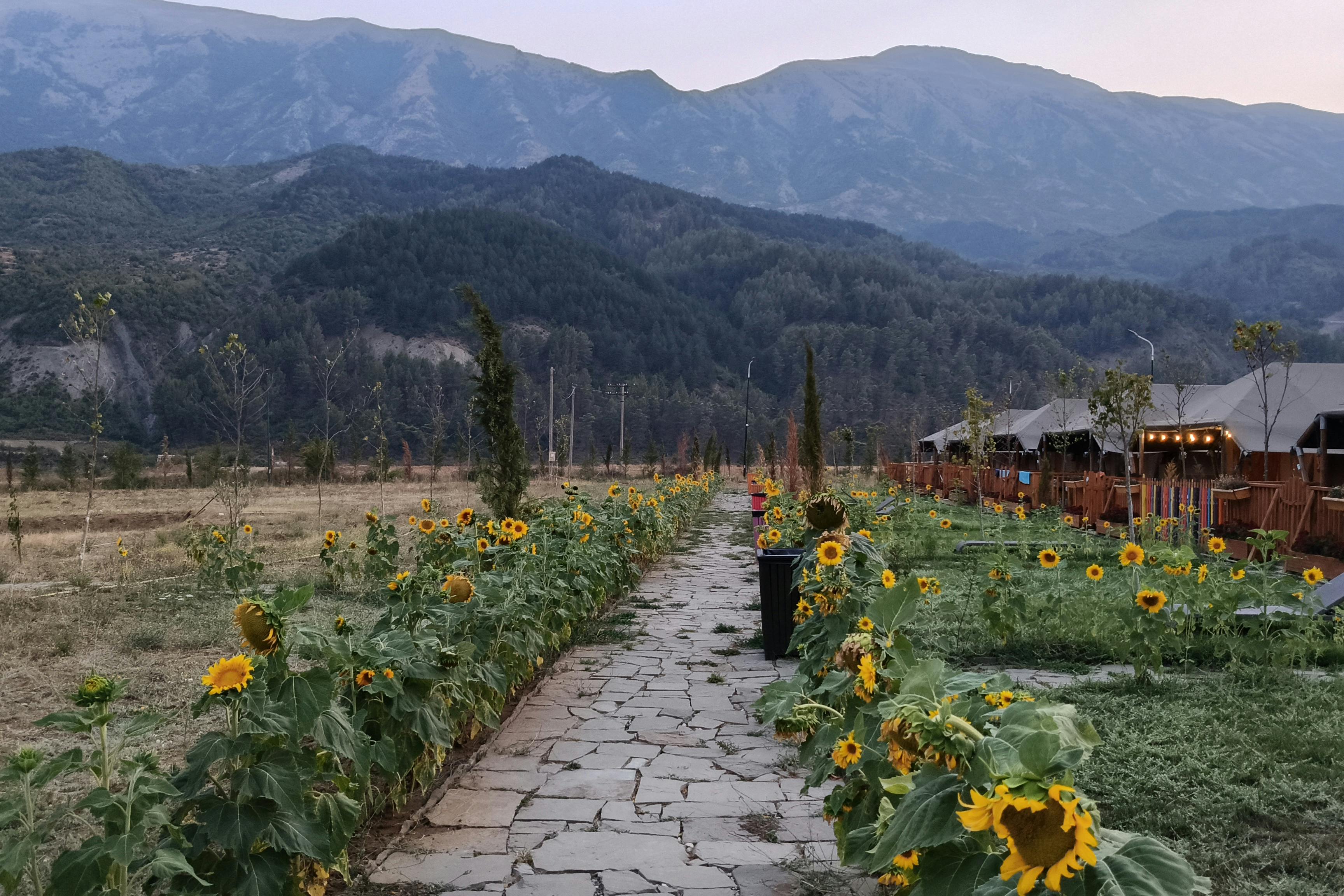 media_KN4G7MTC3F46R5RC