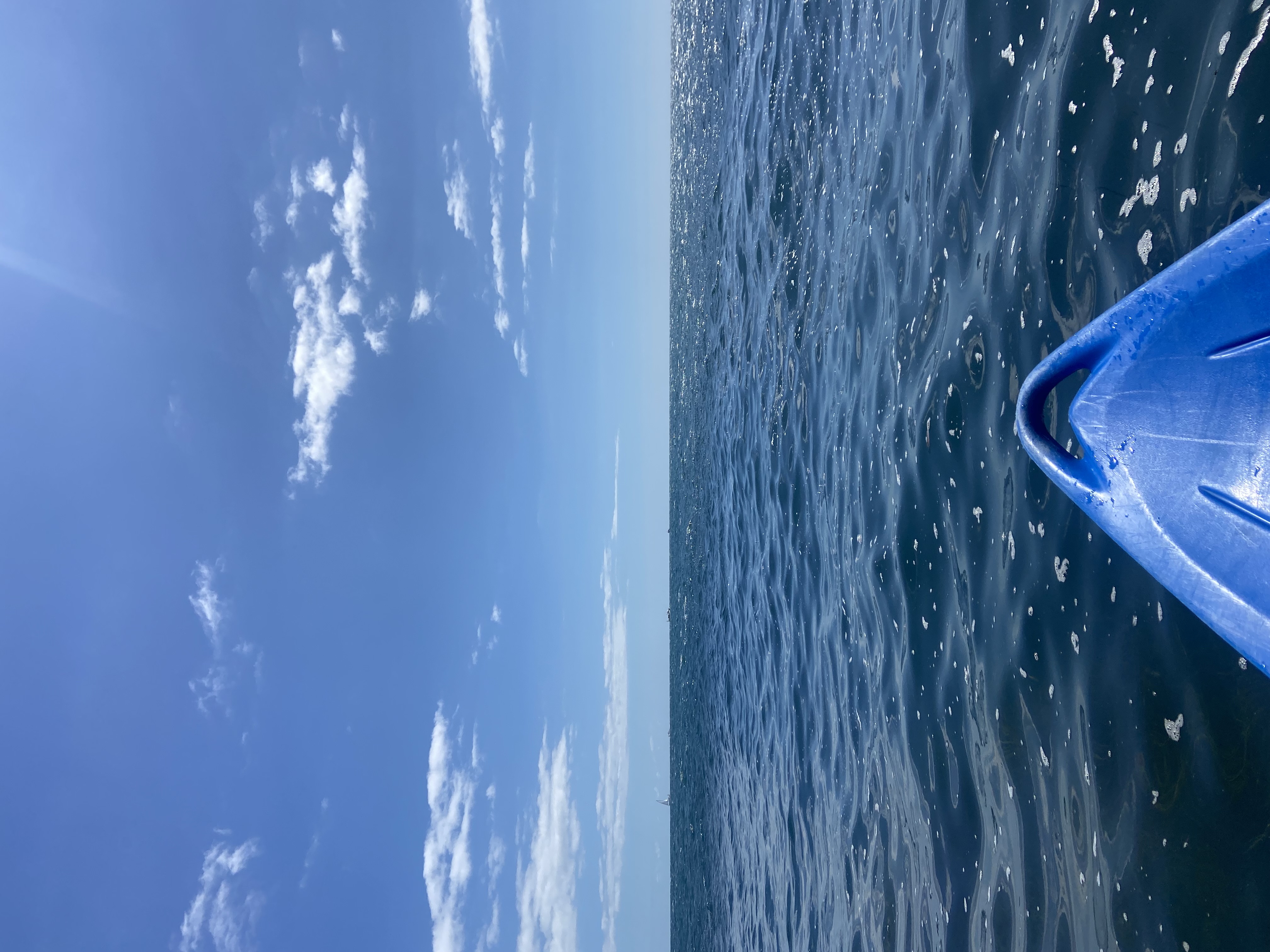 media_EVJ4DN9UL7XQE6BE