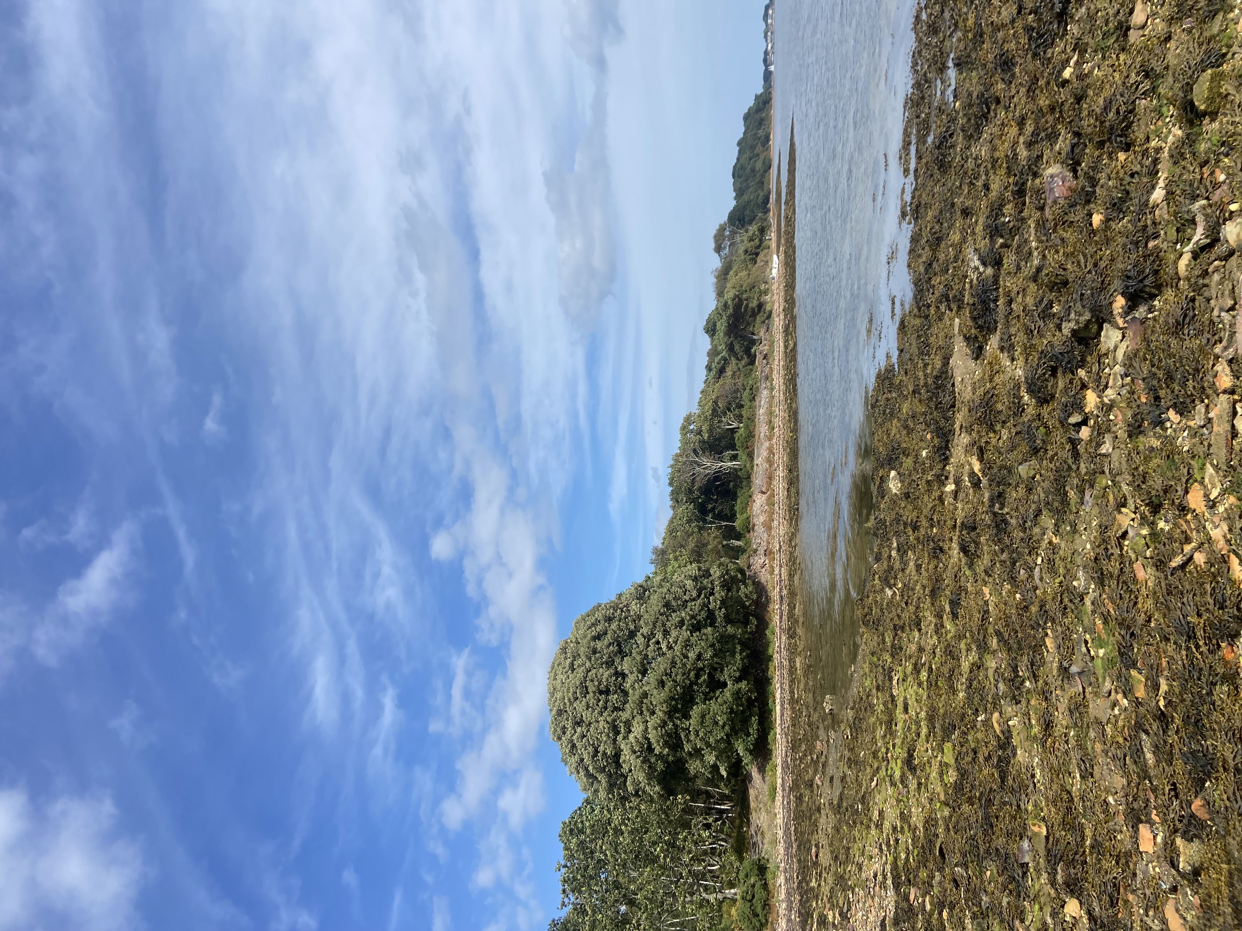 media_WHY4TWEQMPRZB2MJ