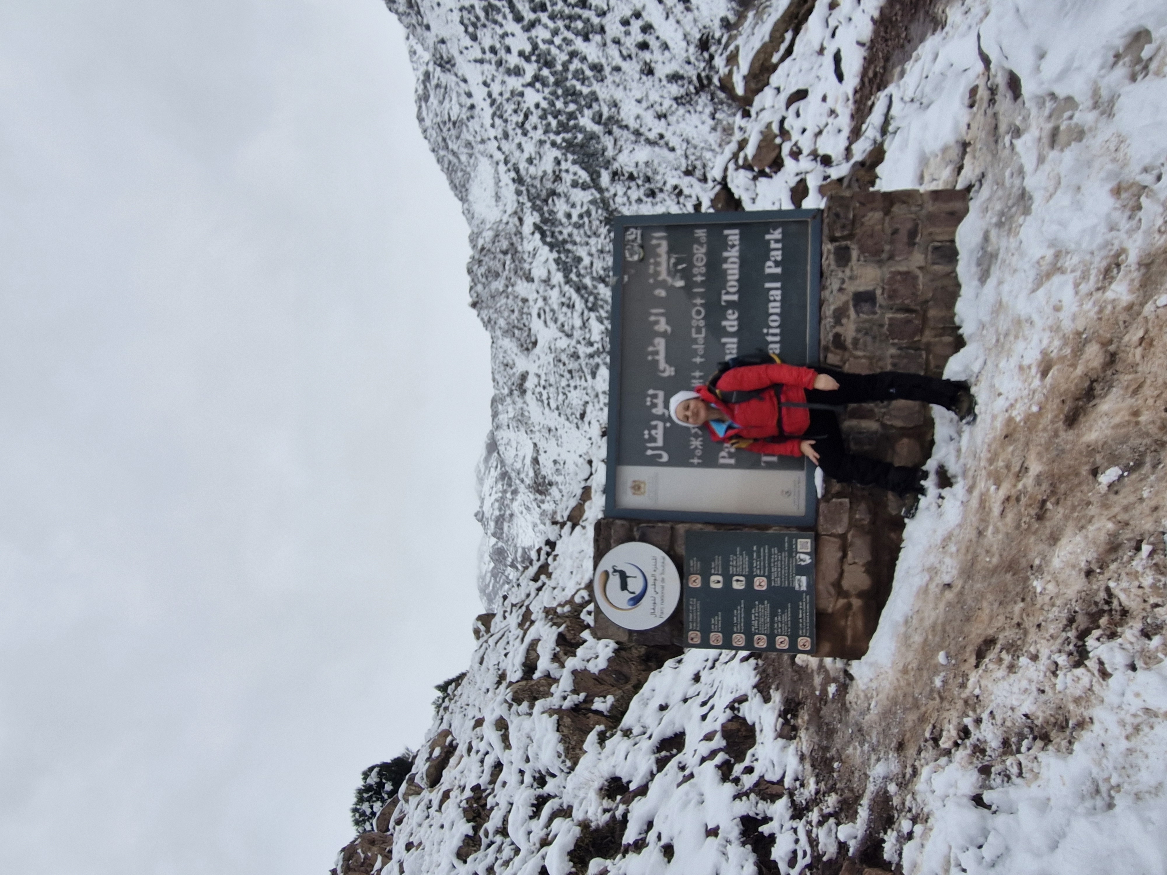 media_236T3AMQ9VRLXPEJ