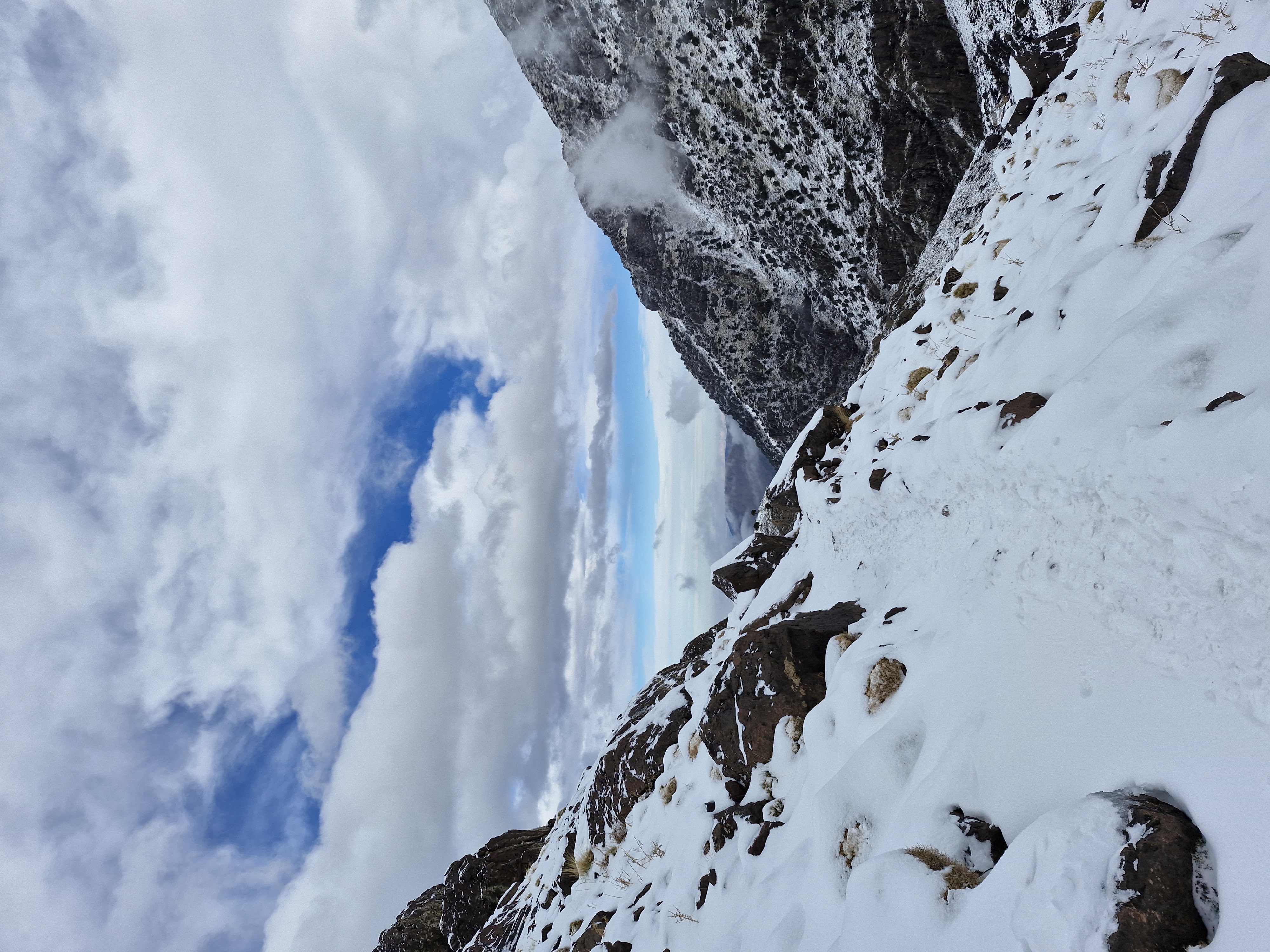 media_ASAV6TPQWCPMUHWJ