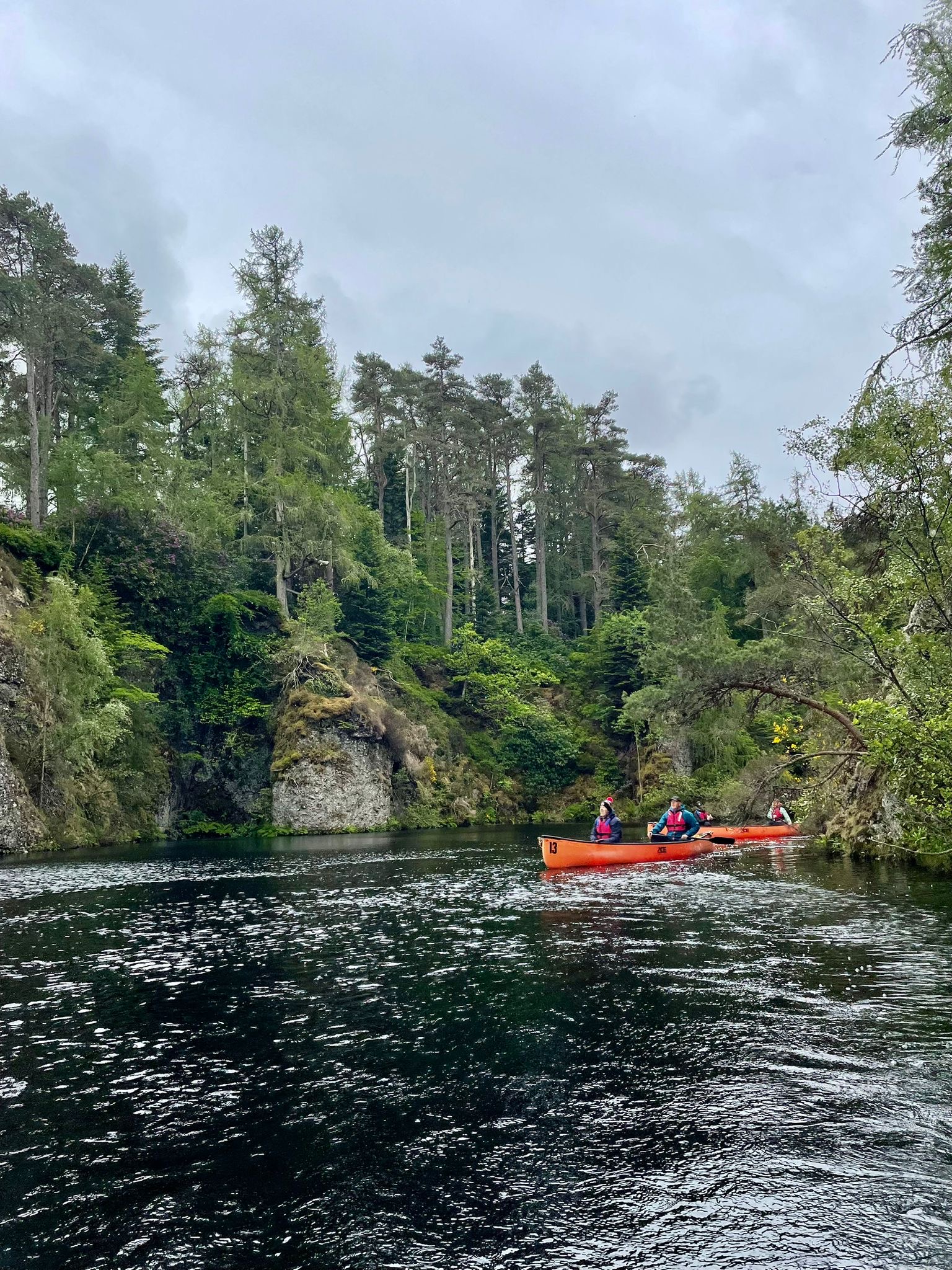 media_X54T8ZUH4R4VM5RM