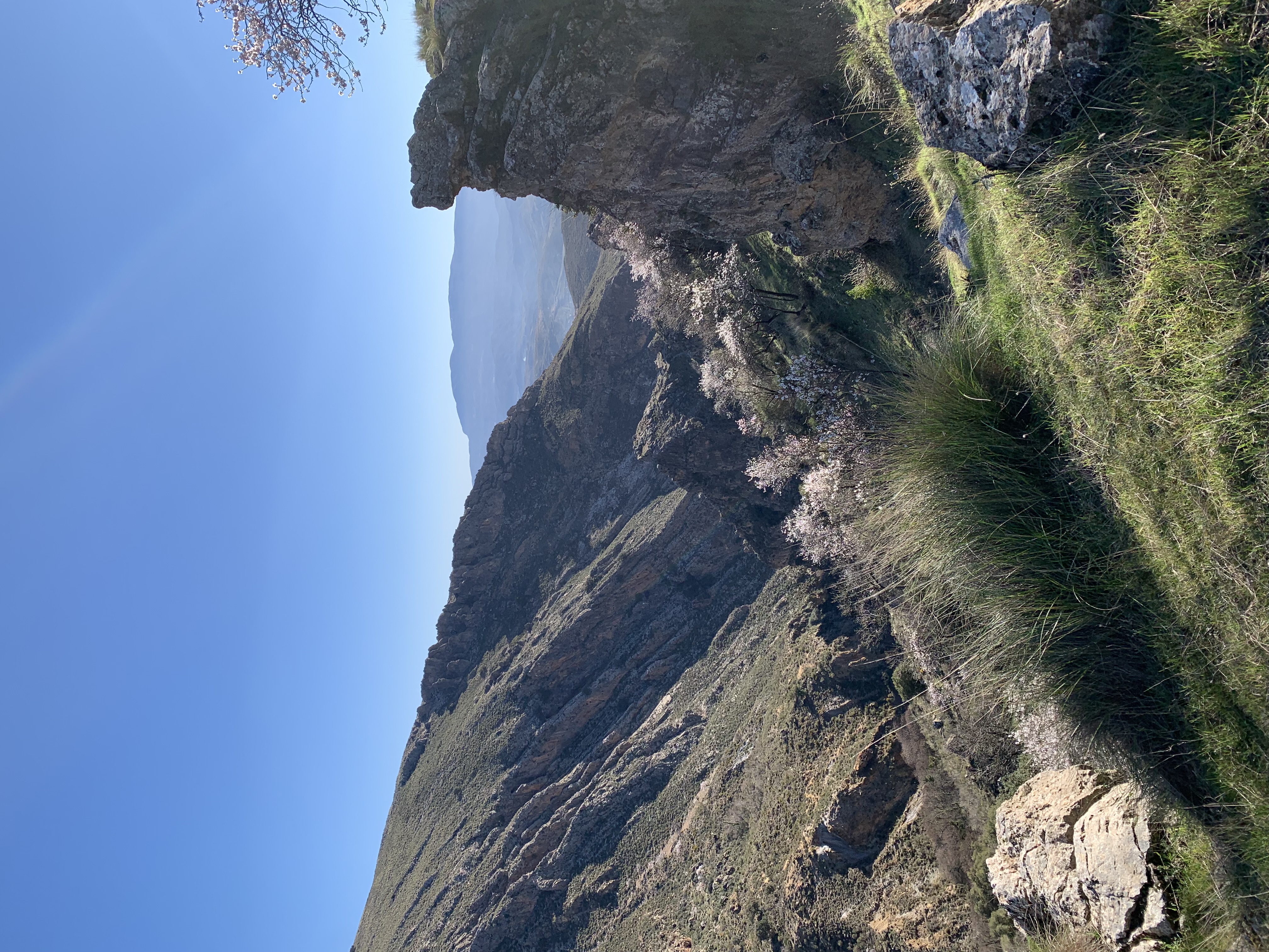 media_8GQJ42CECUJ8SY4E