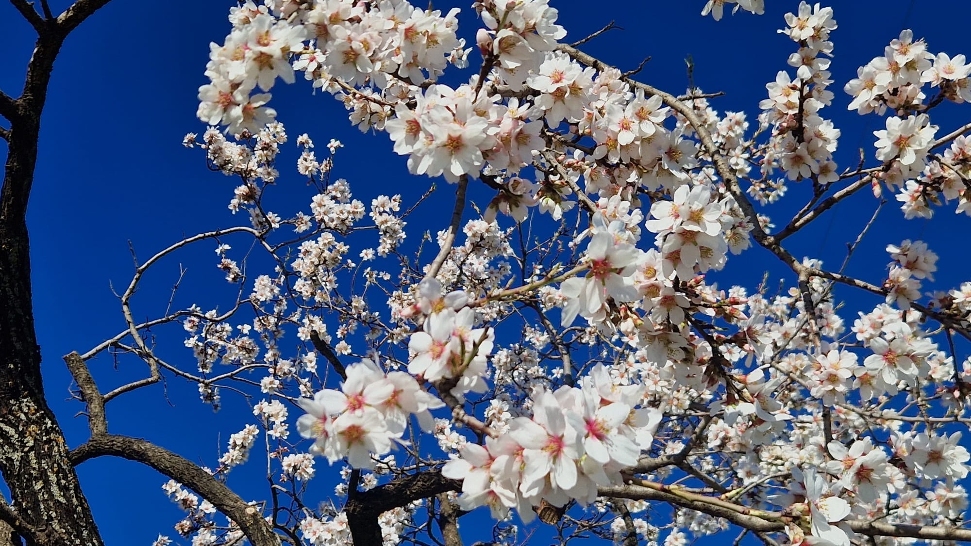 media_ACGHK7WAK9QHRD7Z