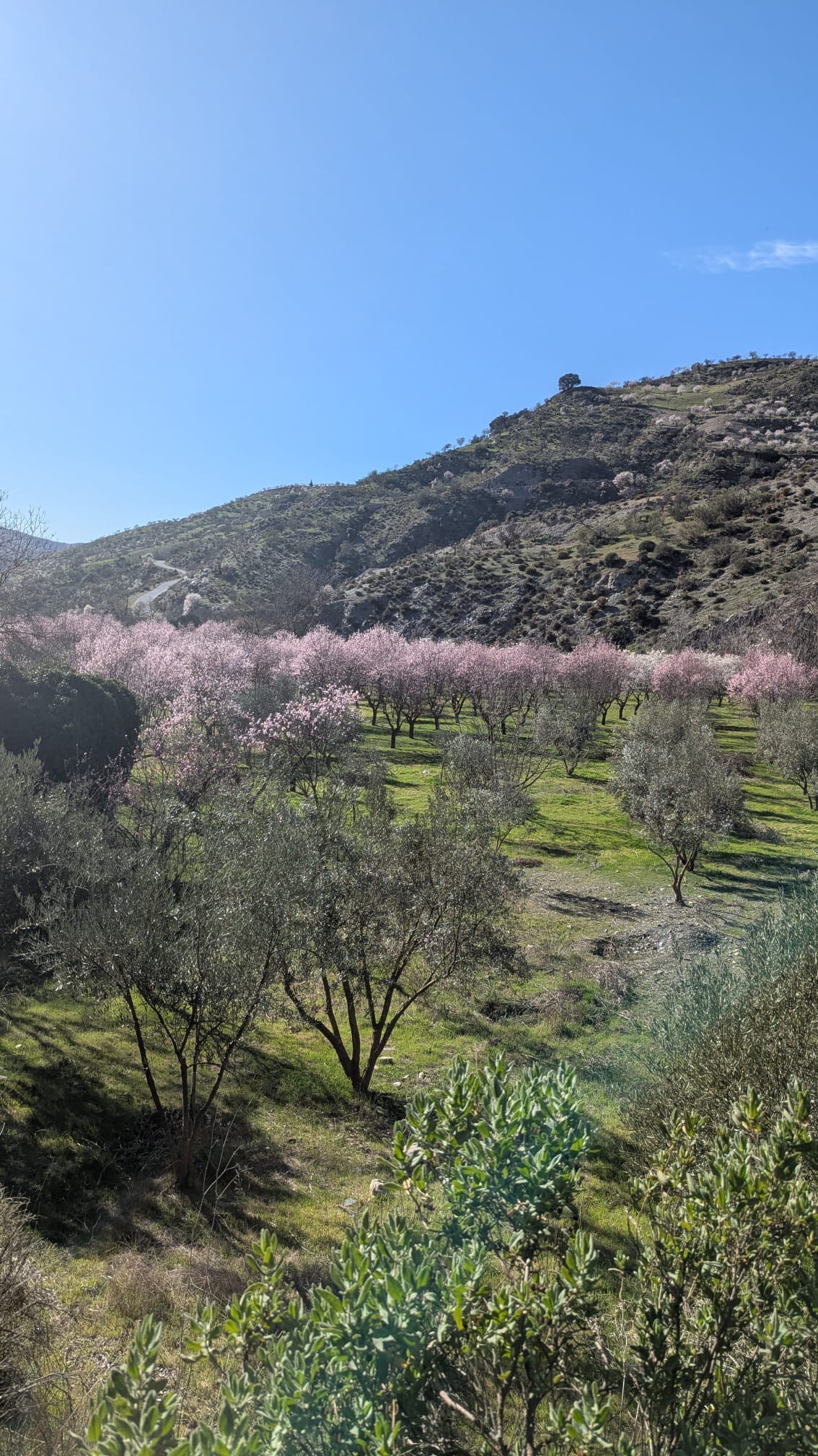 media_AWHKDWR6MJ39E3QR