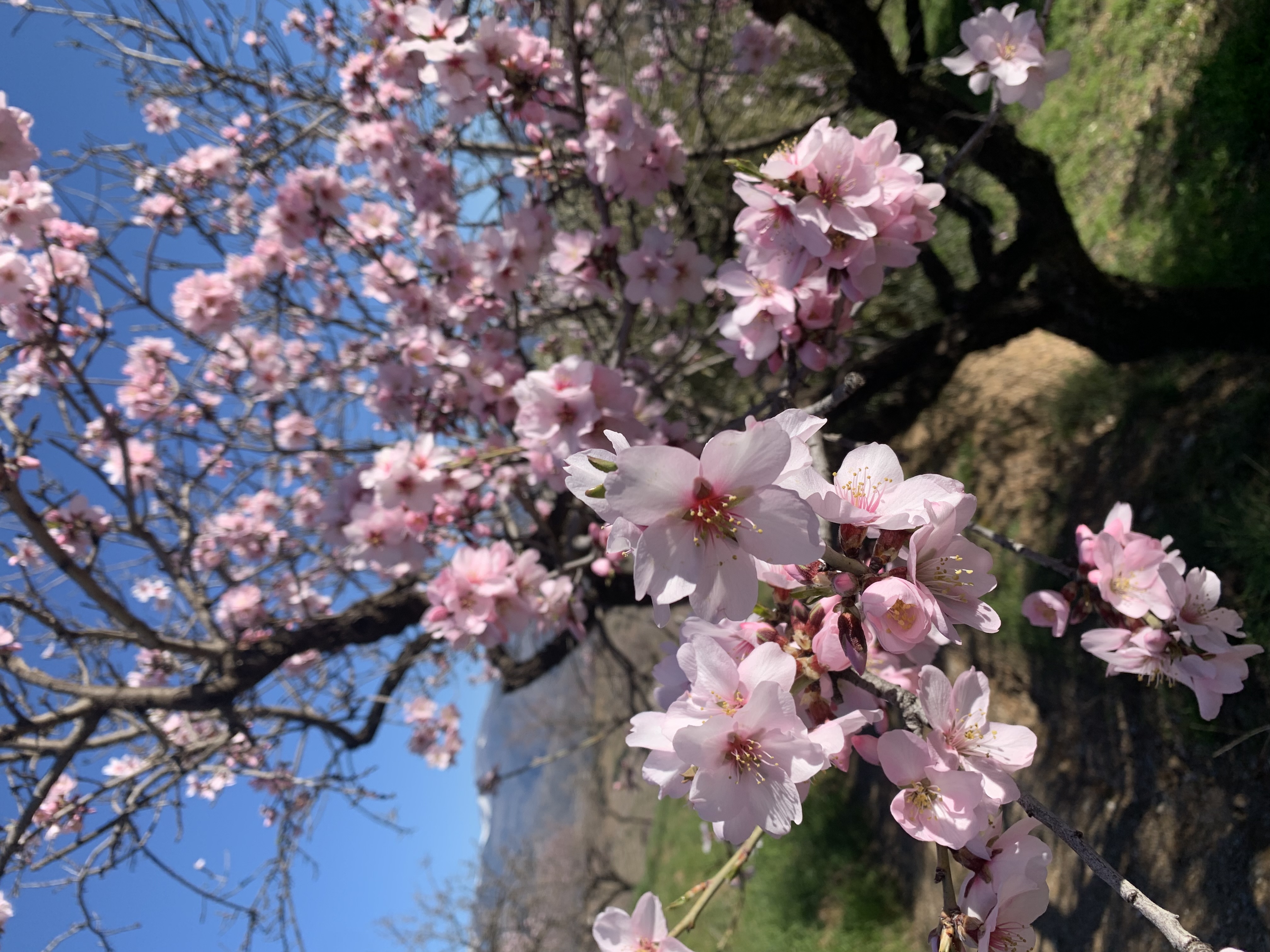 media_T52K3ECU39R6HZ33