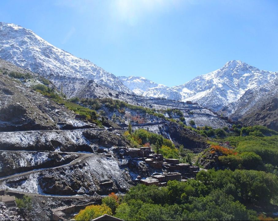 image_X4F55EZGNCAMVY92