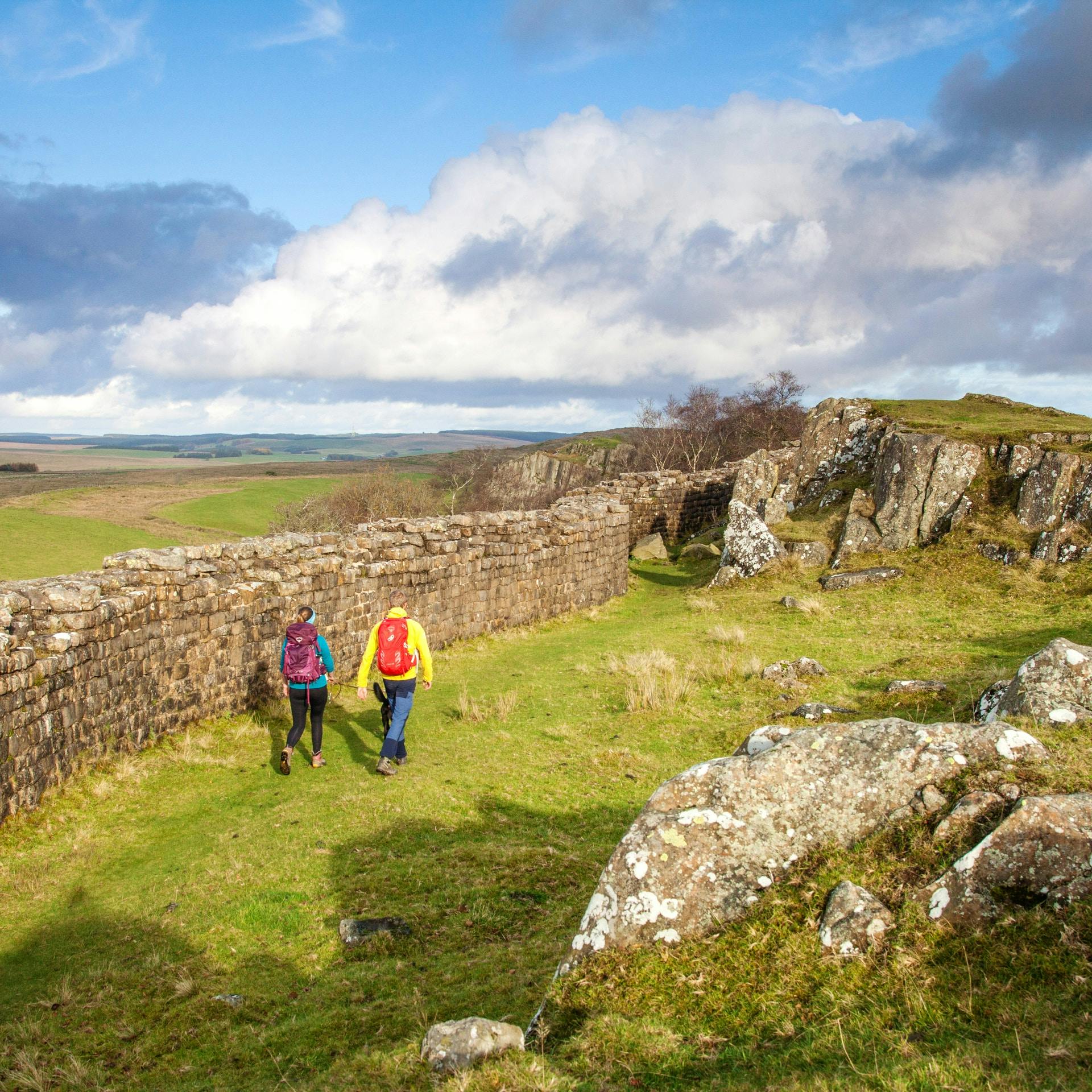 Hadrian's Wall Highlights