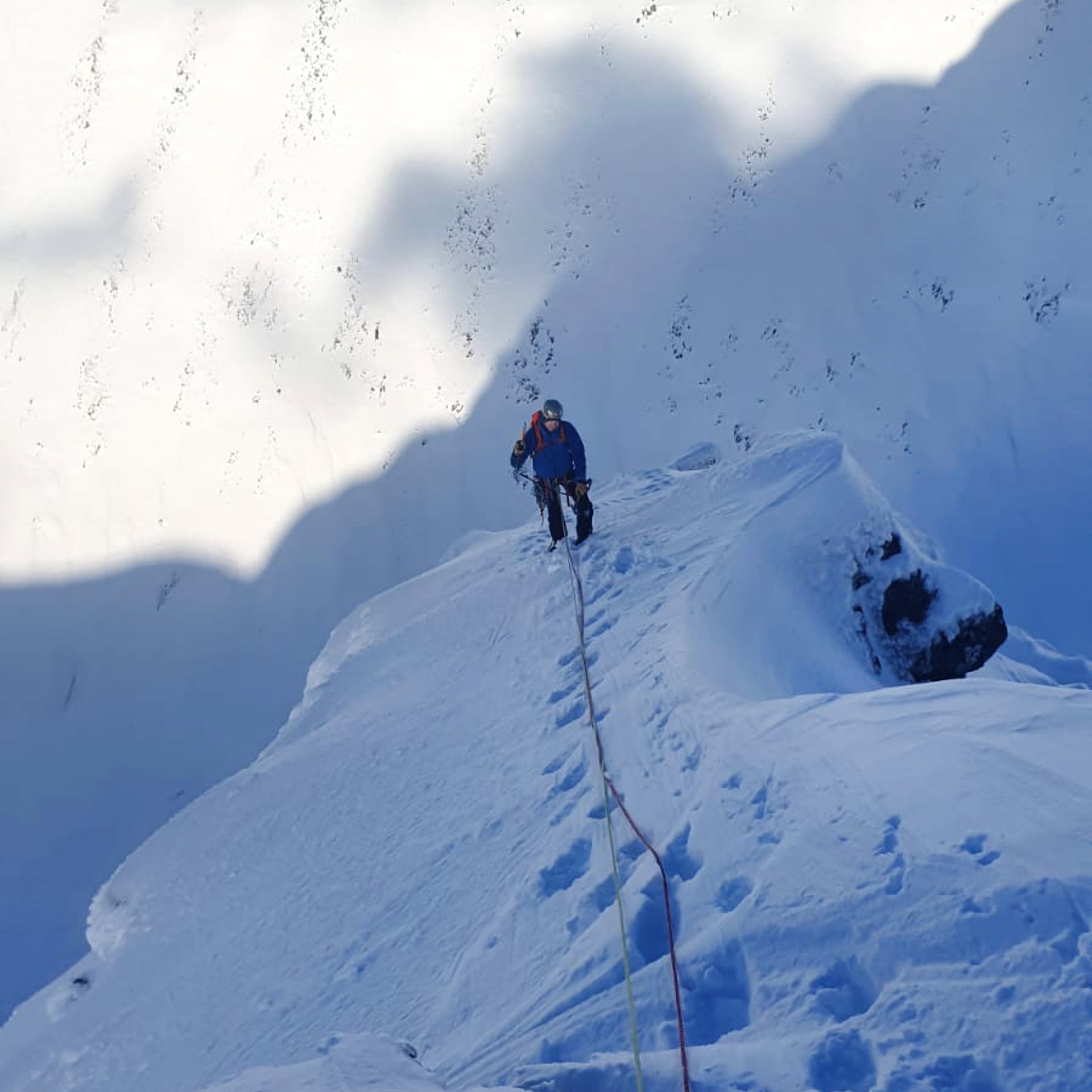 image_6NSWH32X8ARRYR34