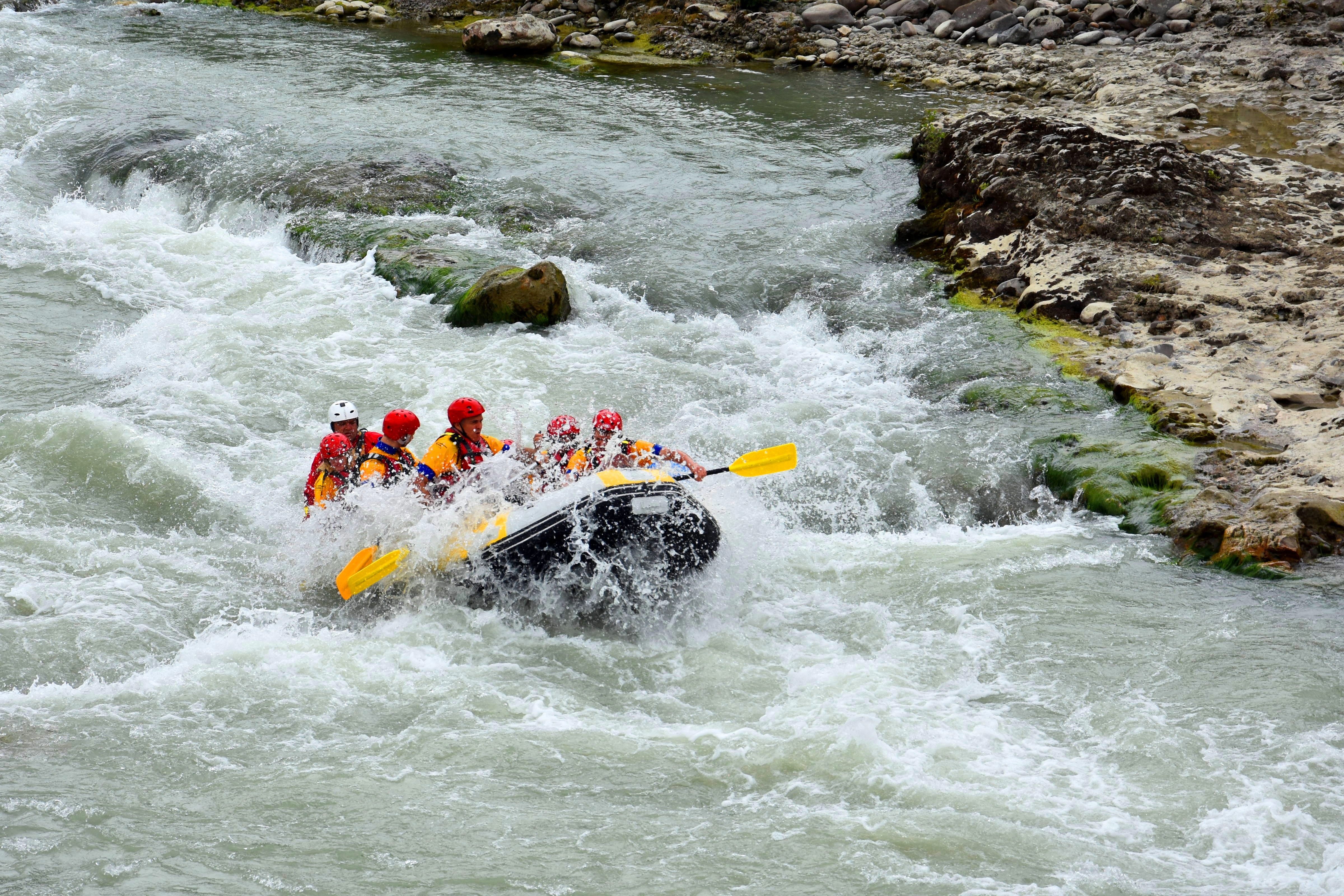 image_P8LFX5EC6CCJMM9F