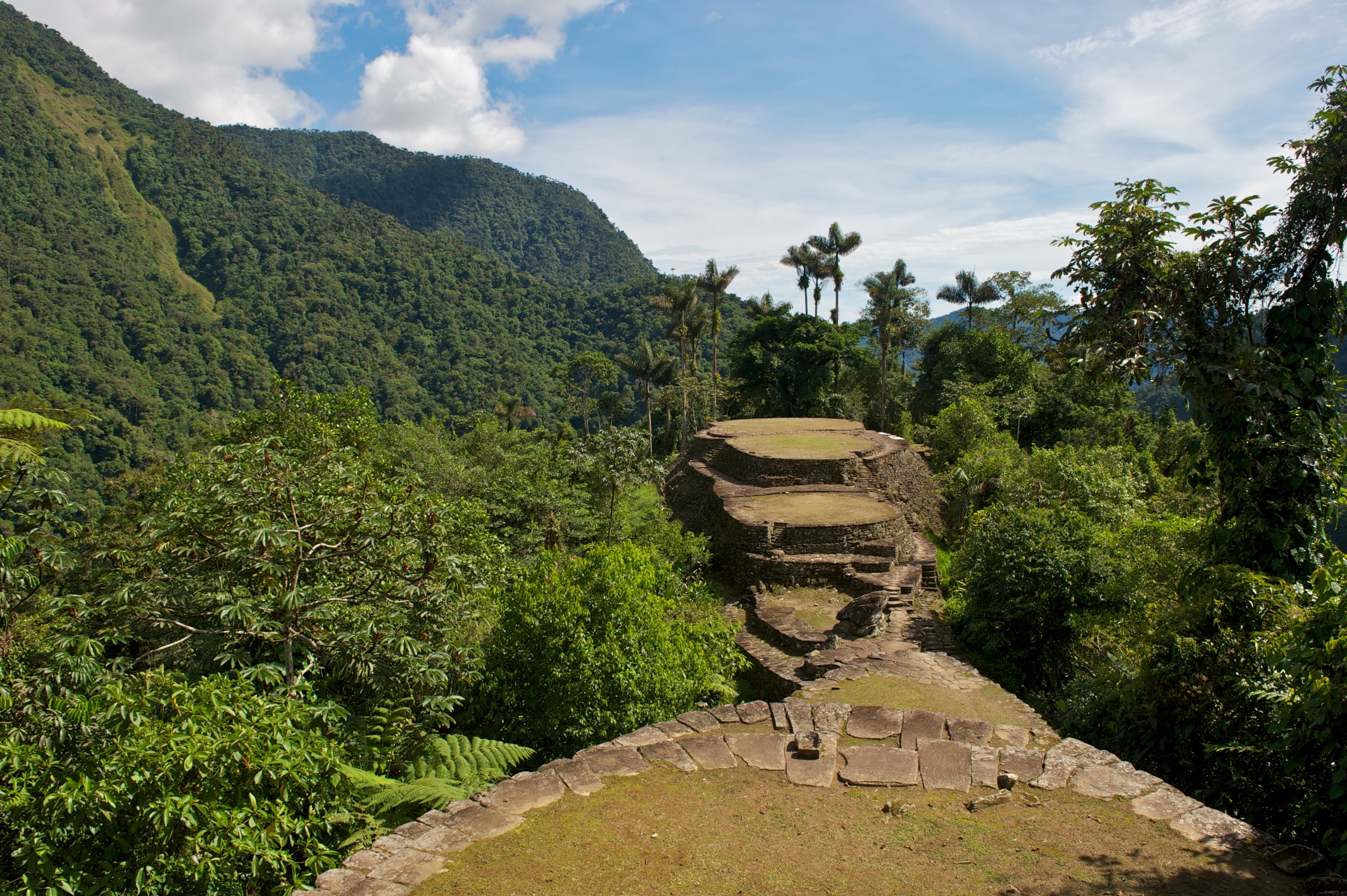 image_RSFBHKD5JC8TXZFR