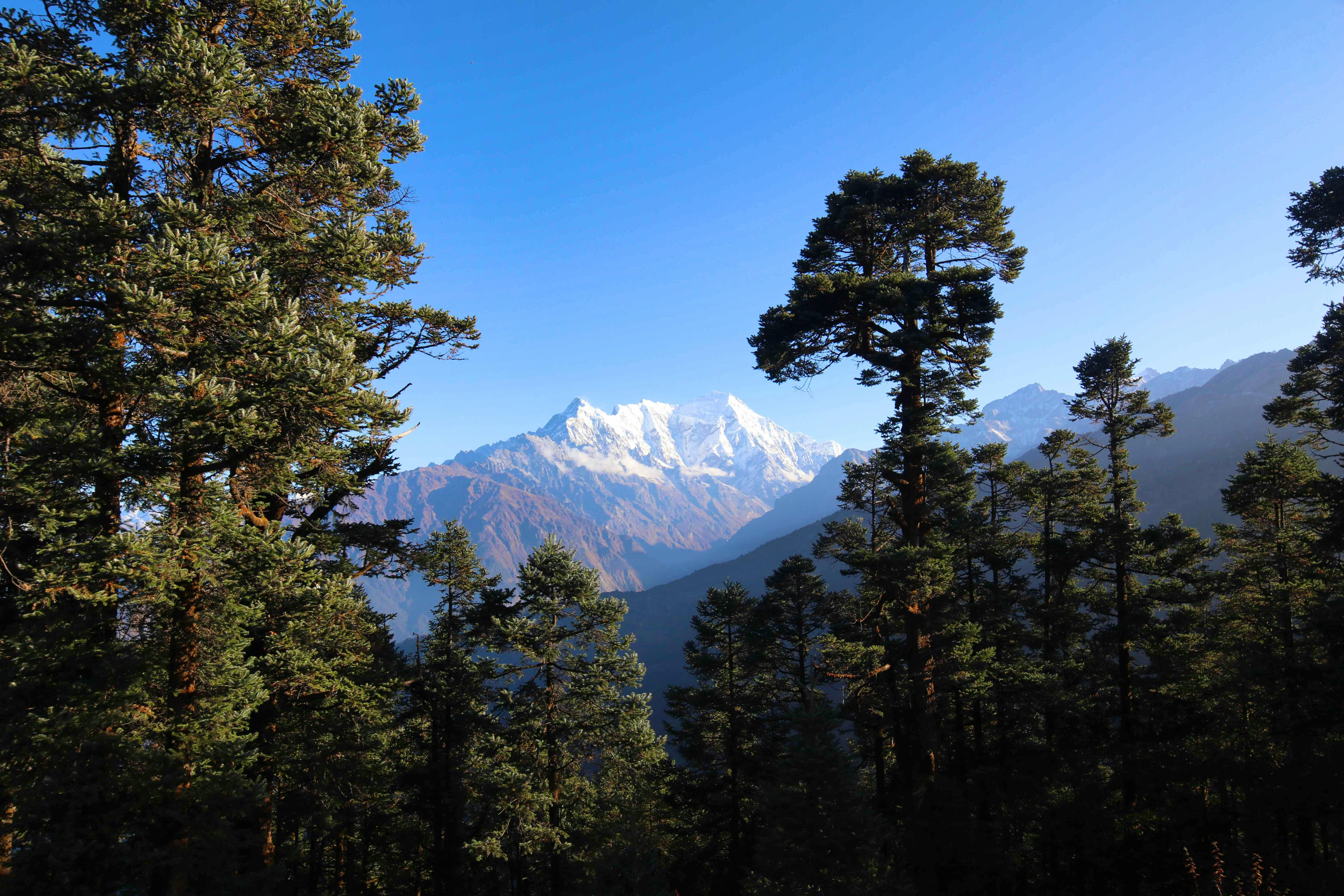 Langtang Trek 